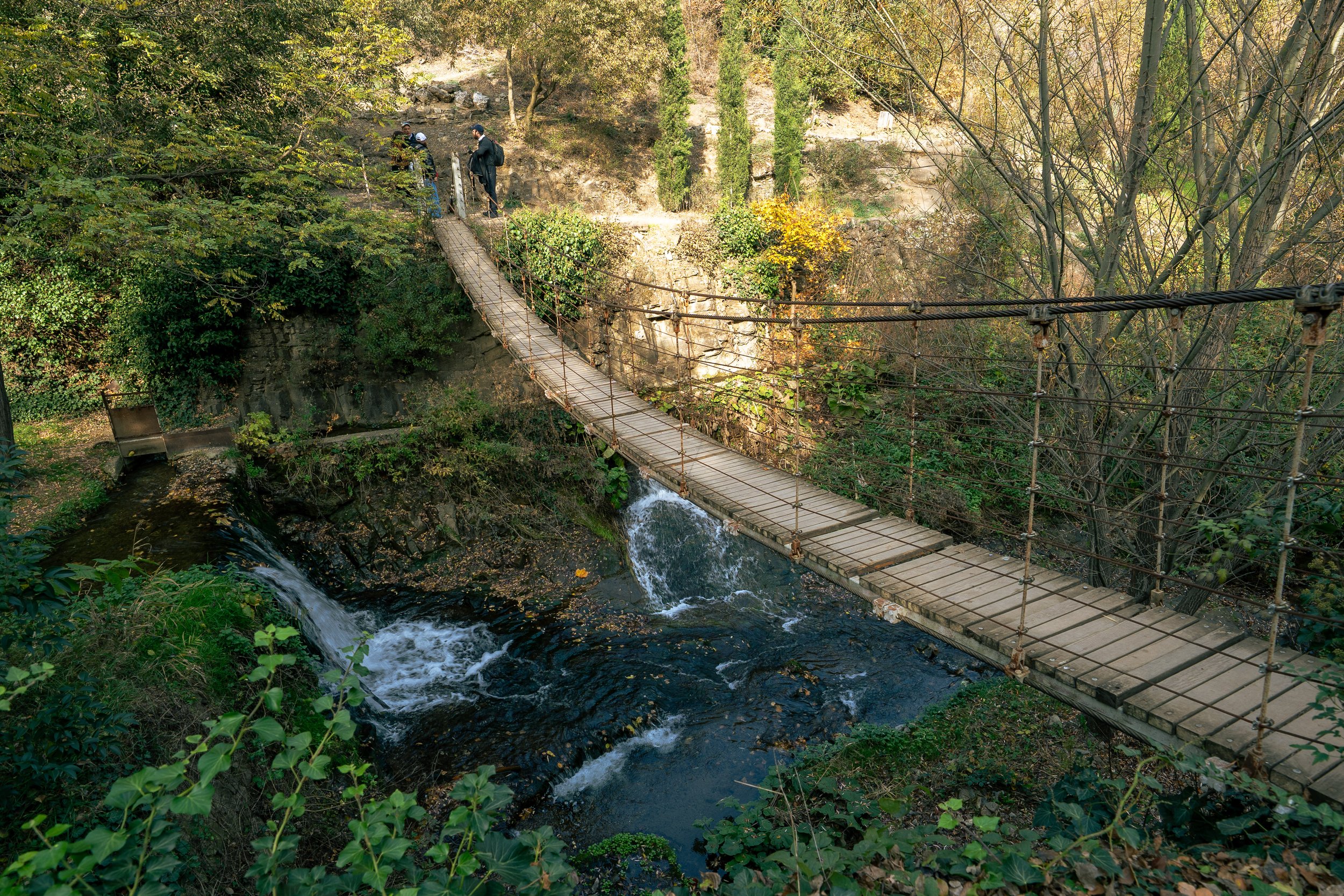  Georgia Website Photos-26.jpg