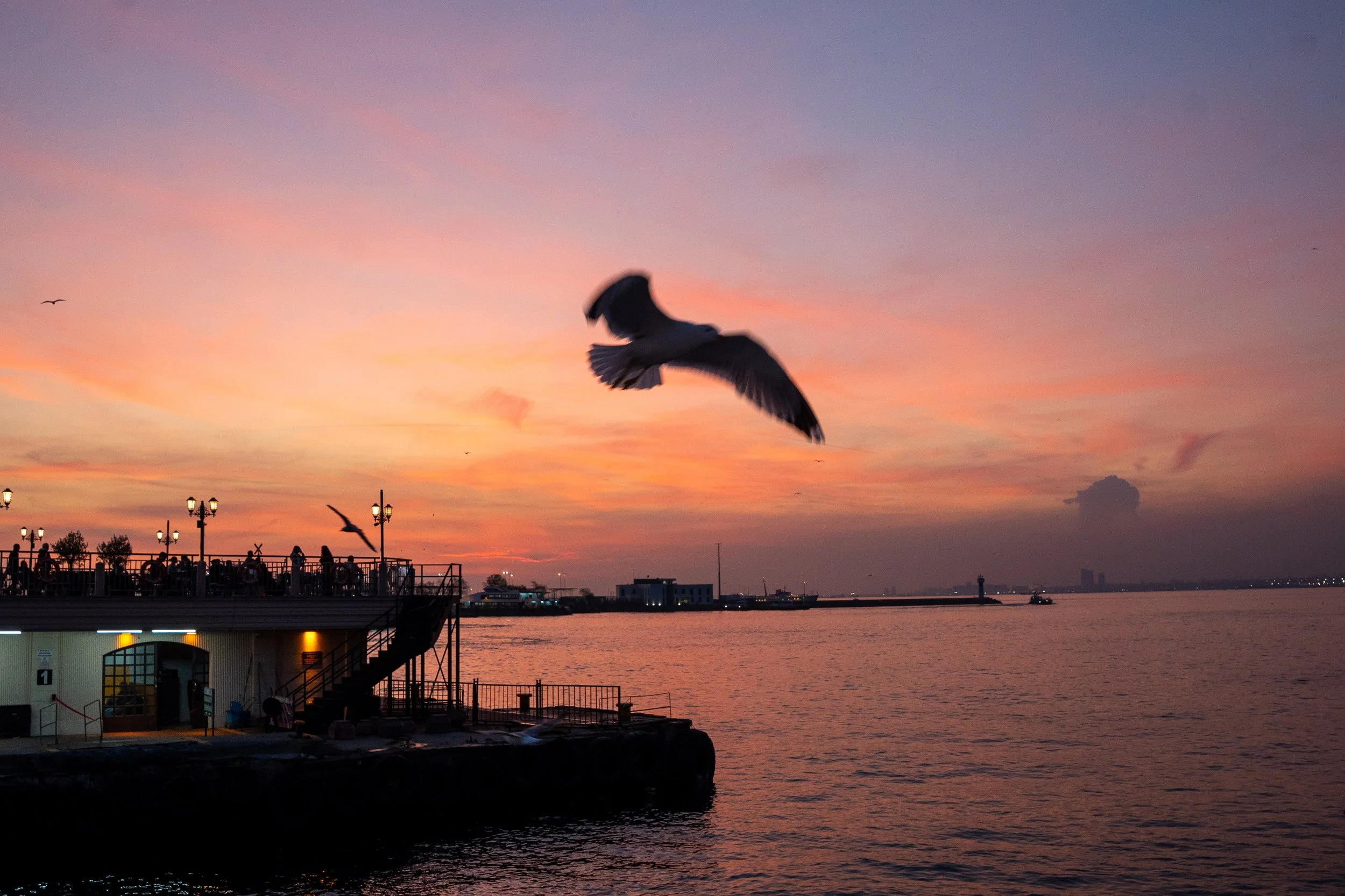  Turkey Website Photos-89.jpg