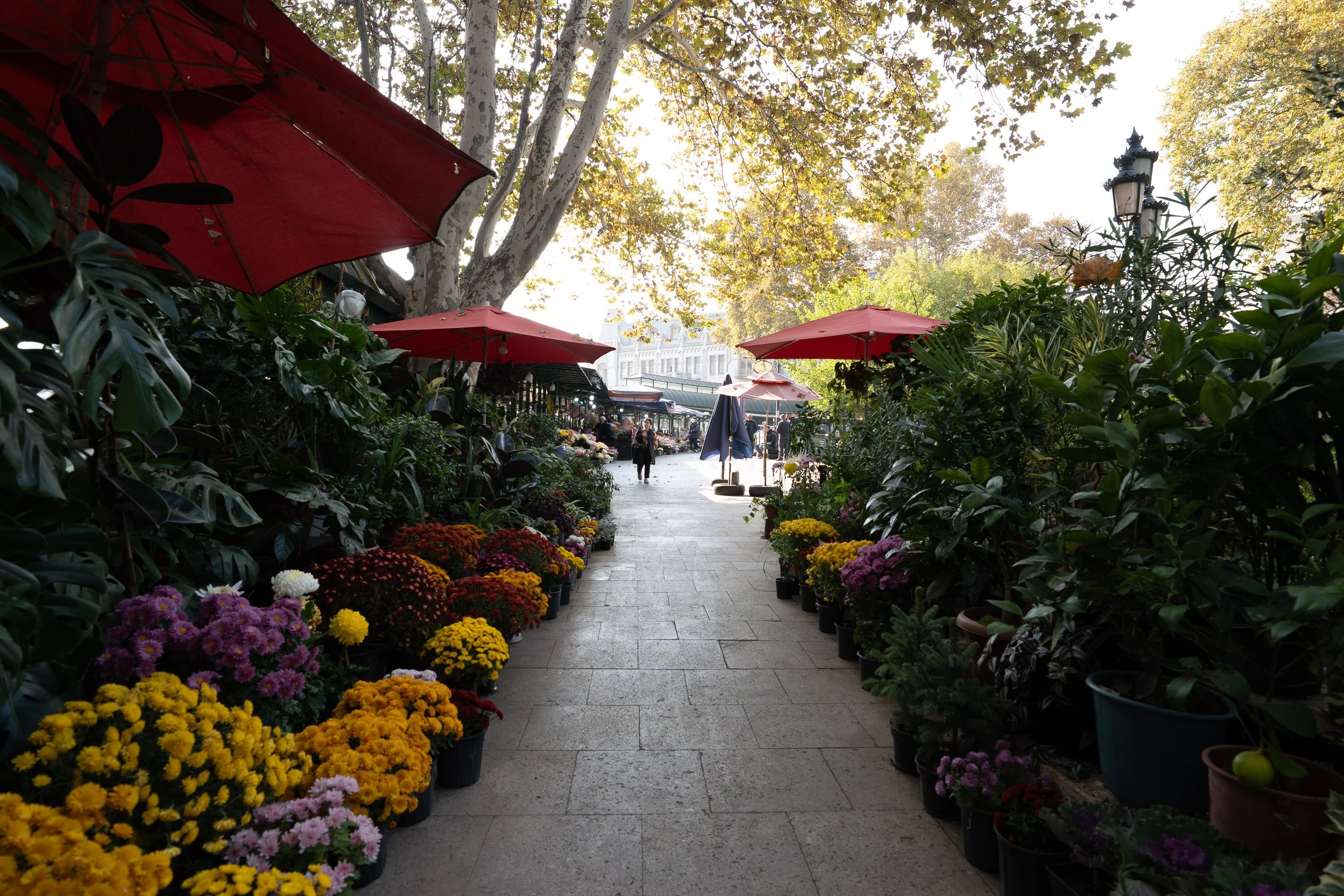  Georgia Website Photos-13.jpg