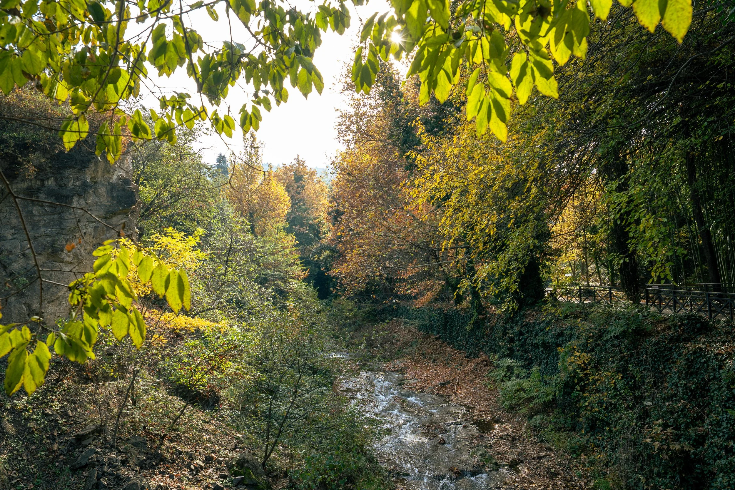  Georgia Website Photos-21.jpg