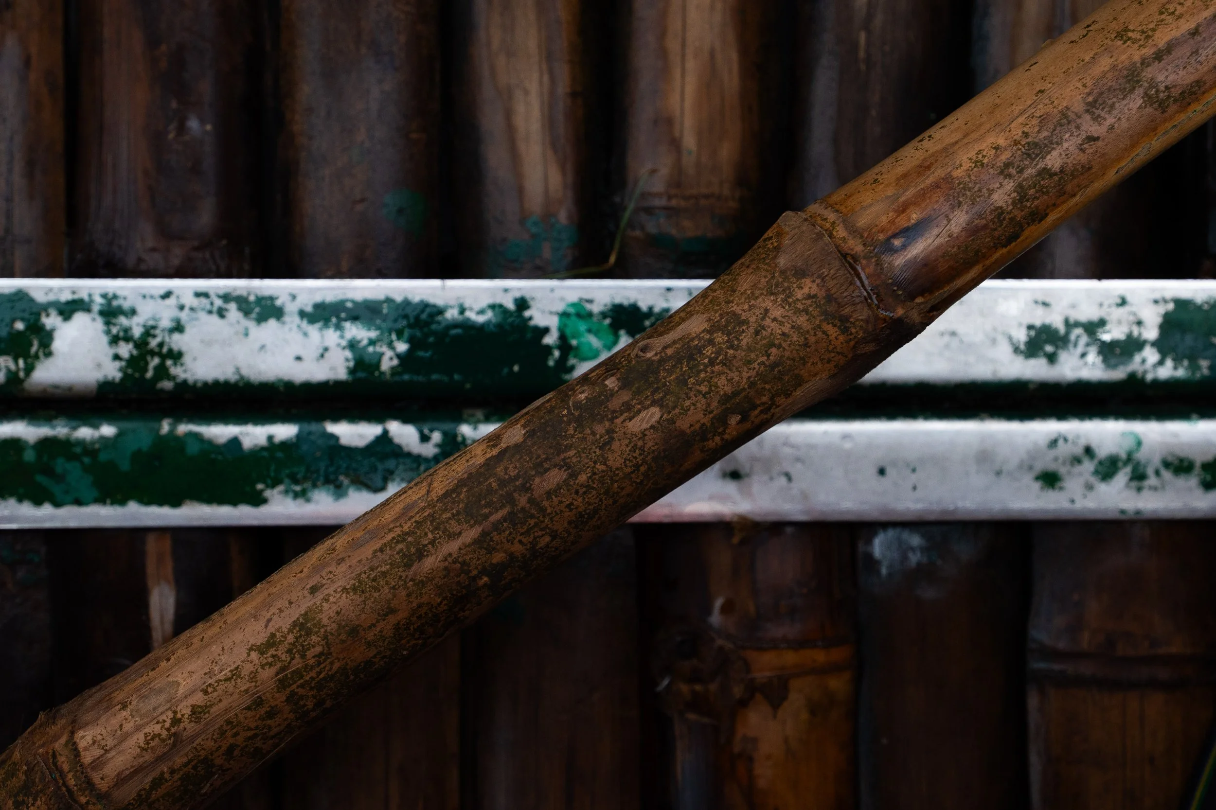 Vietnam Website photos-61.jpg