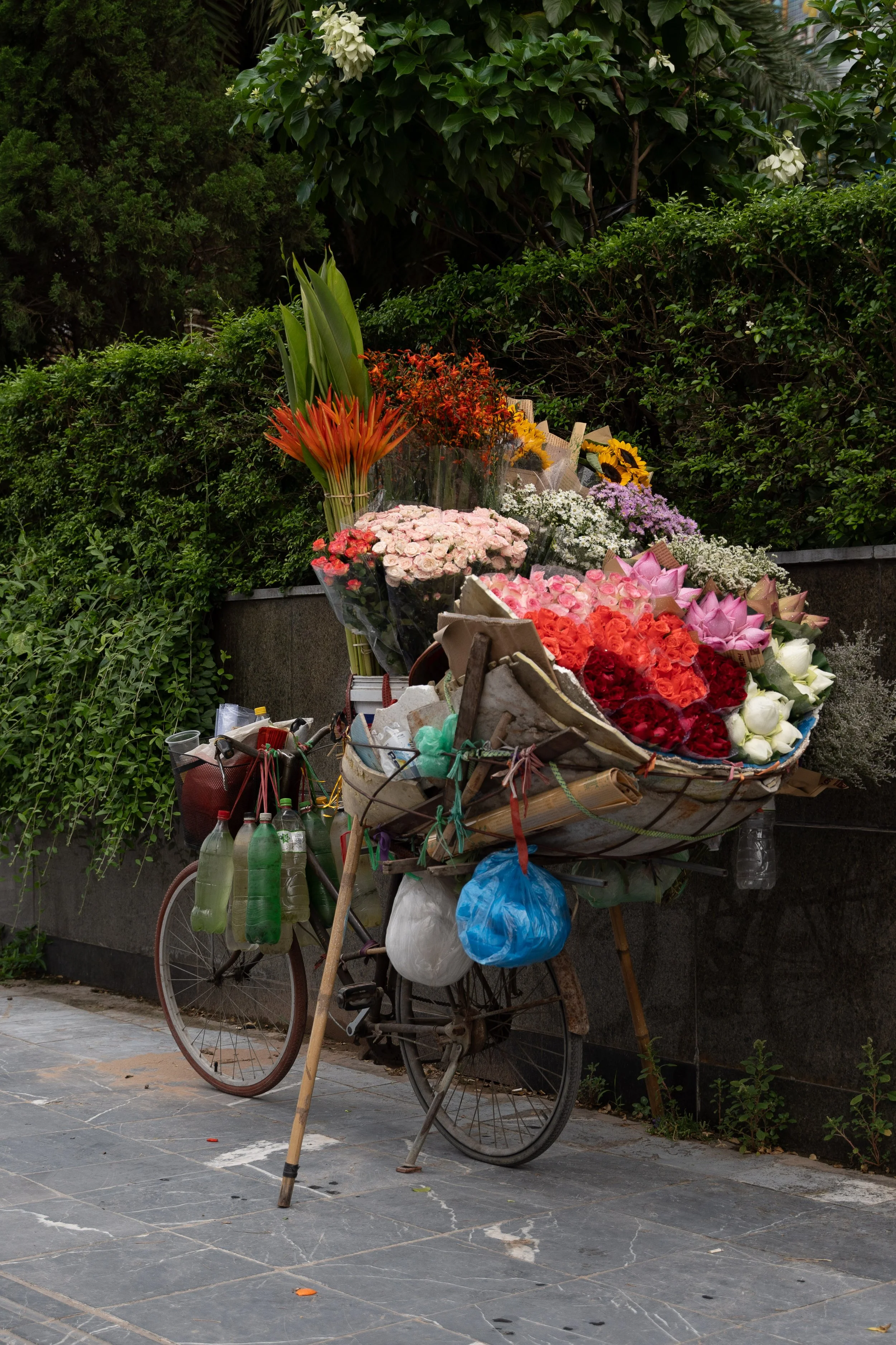 Vietnam Website photos-09.jpg