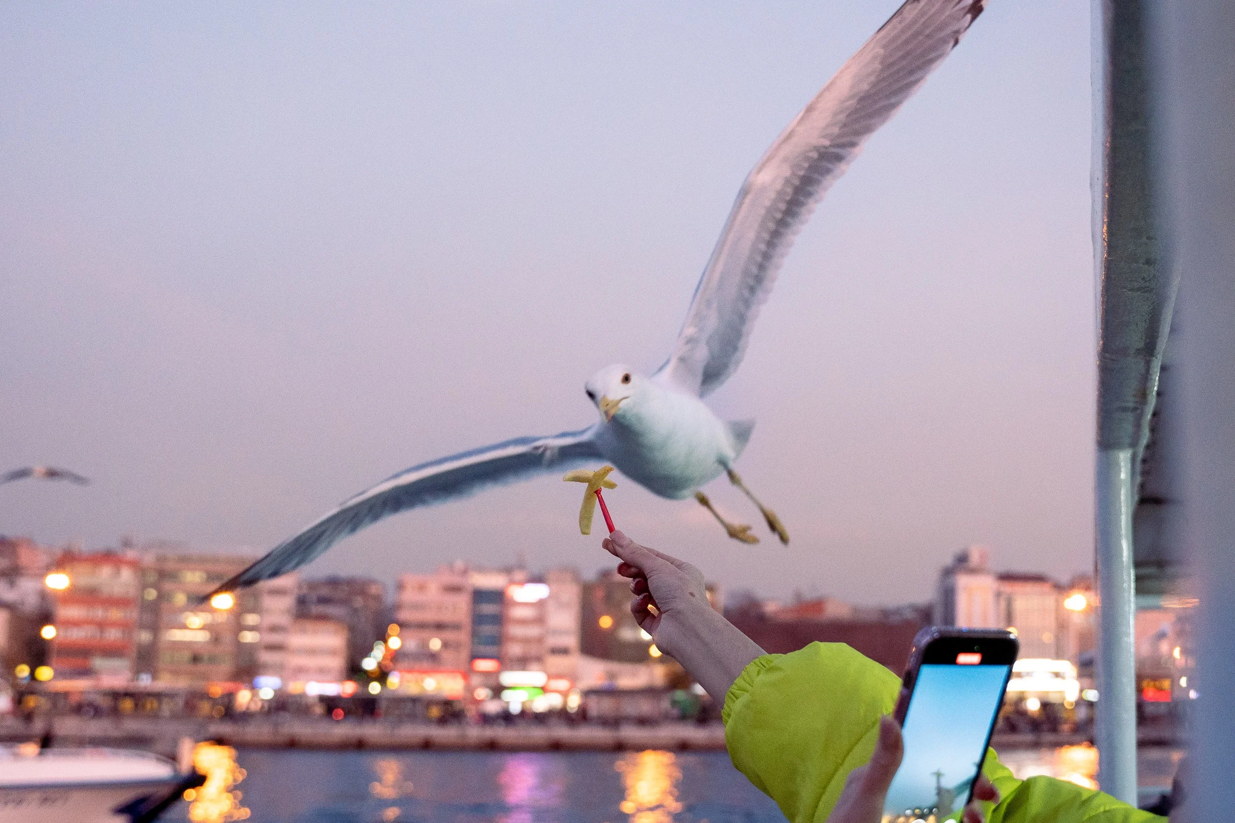  Turkey Website Photos-90.jpg