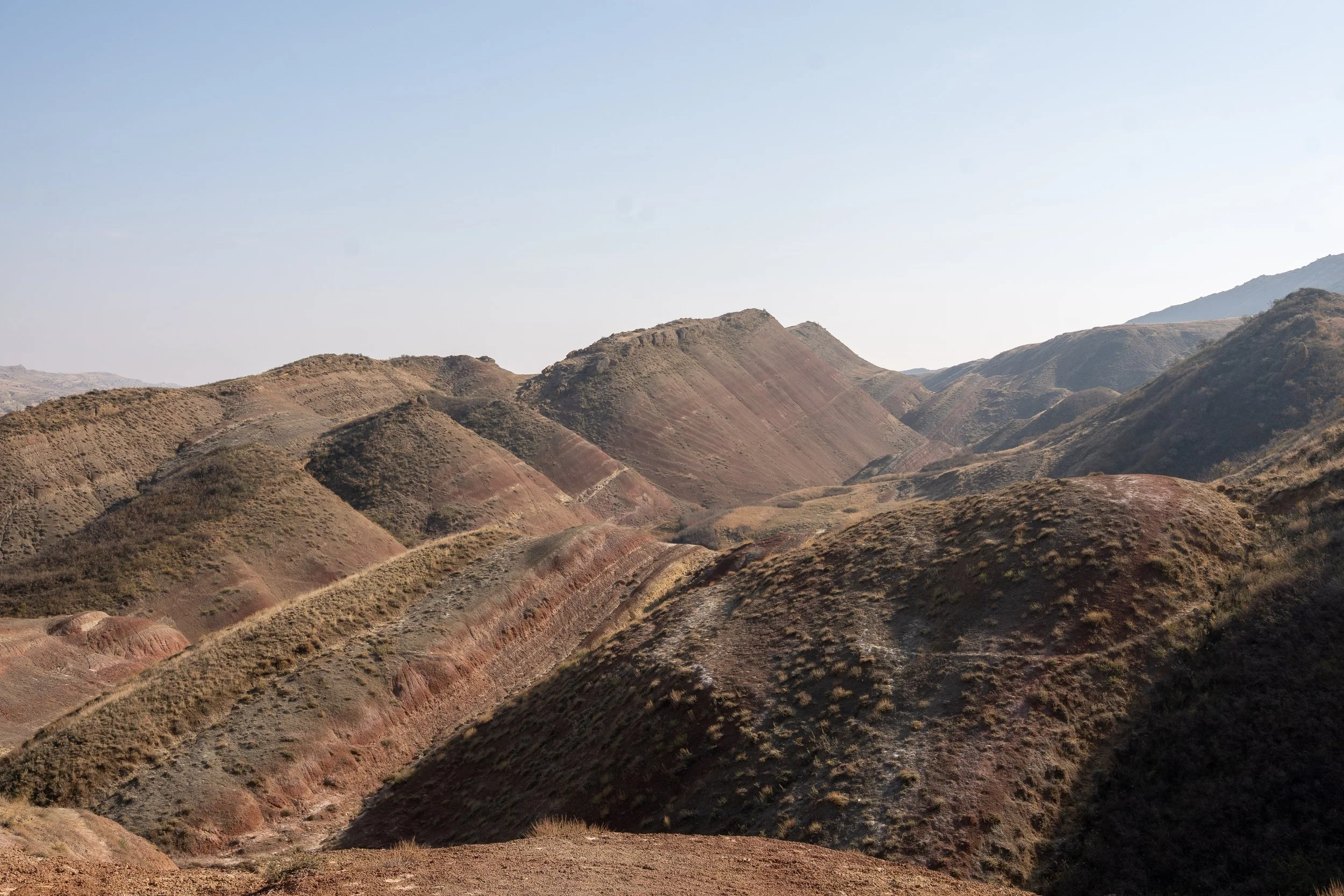  Georgia Website Photos-39.jpg