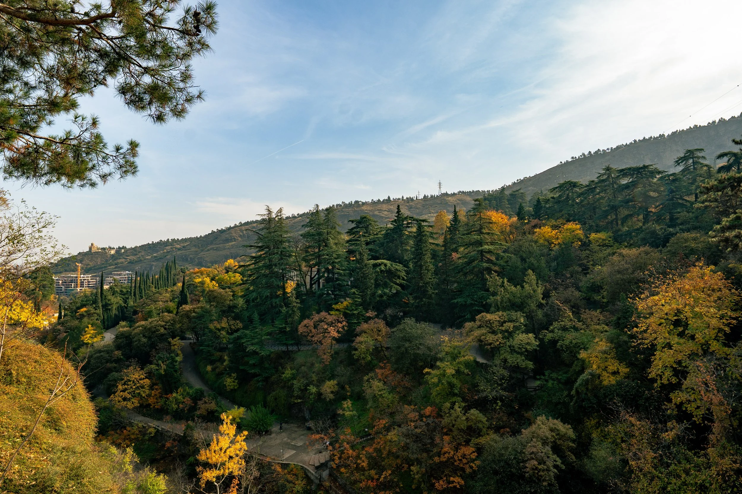  Georgia Website Photos-20.jpg