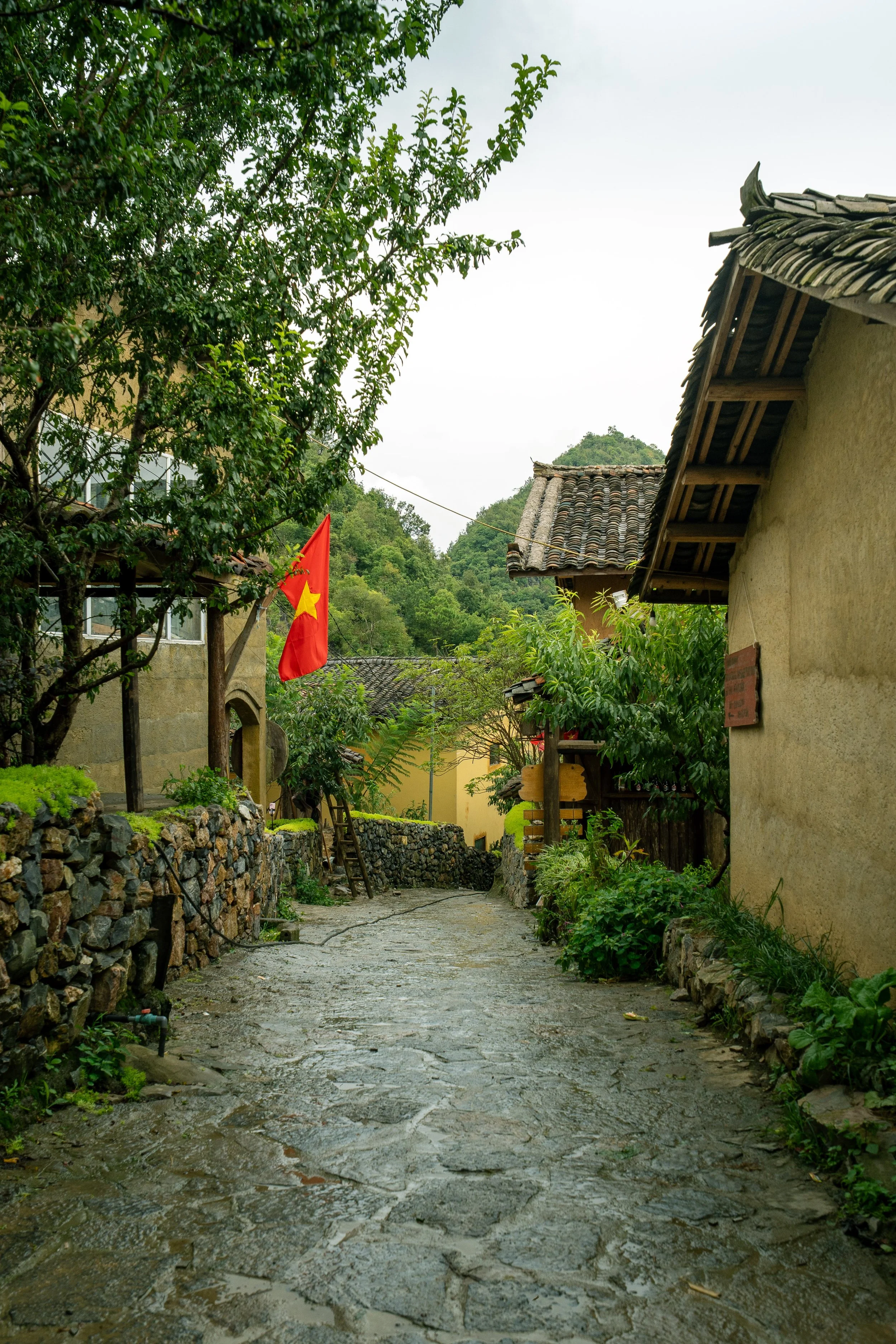 Vietnam Website photos-36.jpg