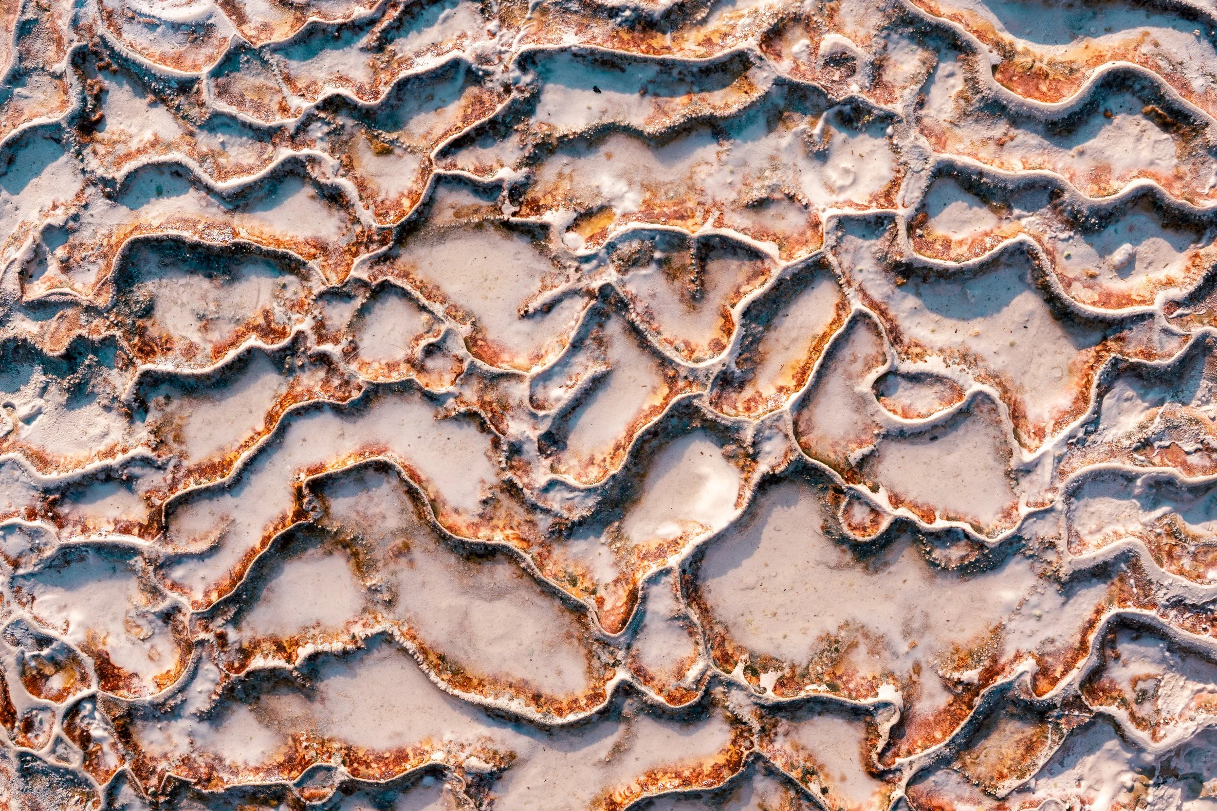  Turkey Website Photos-65.jpg