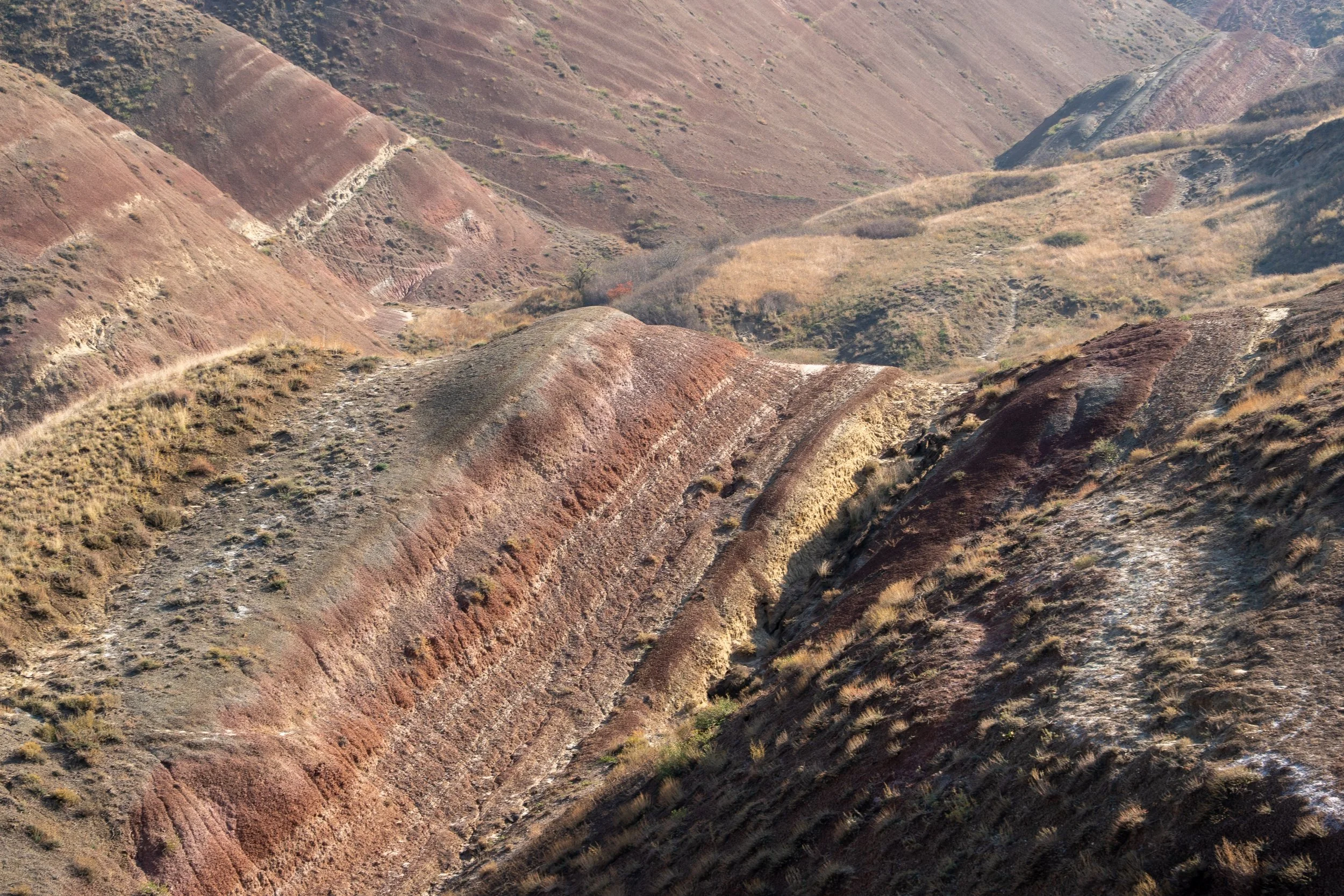  Georgia Website Photos-43.jpg