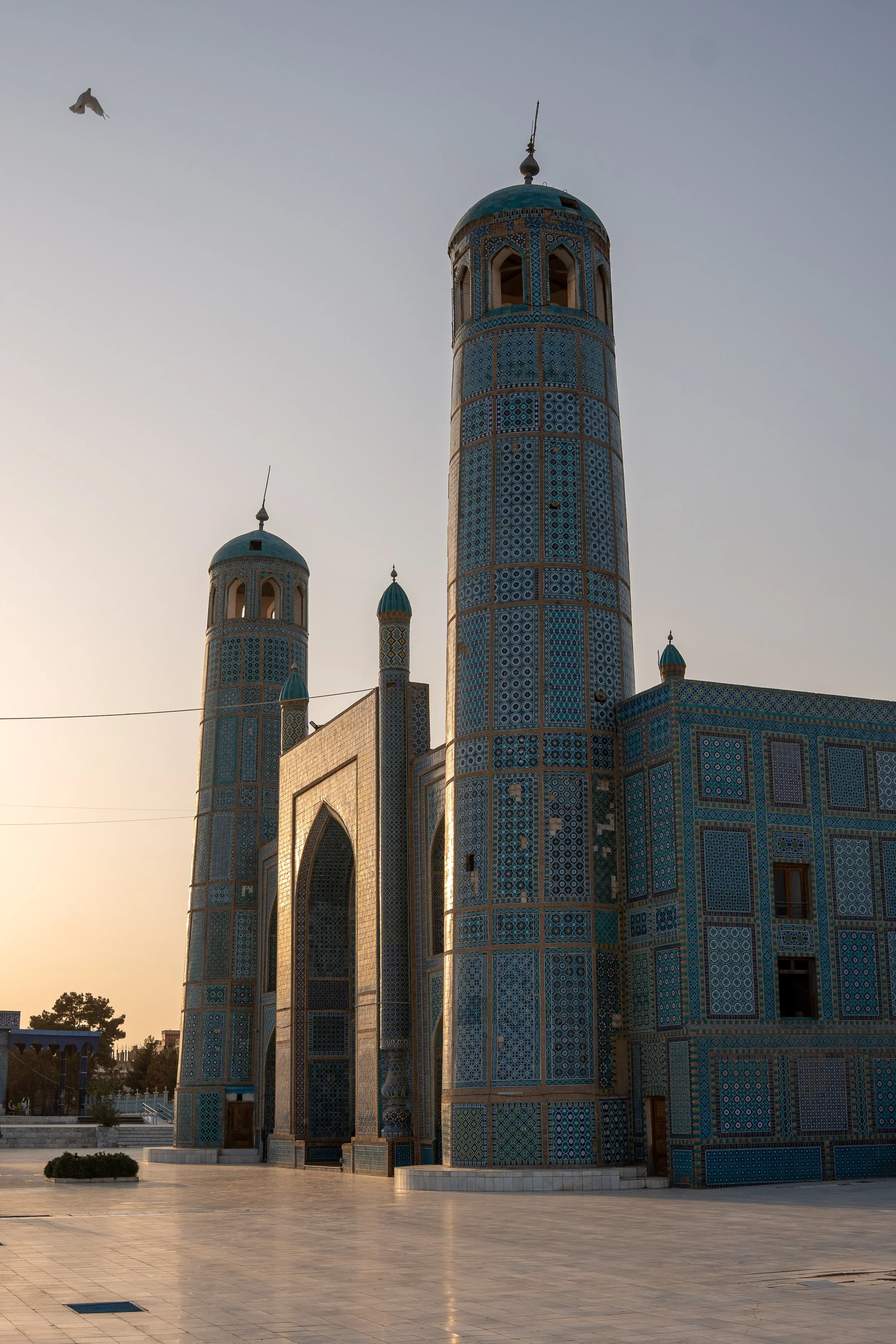 Afghanistan Website photos-30.jpg