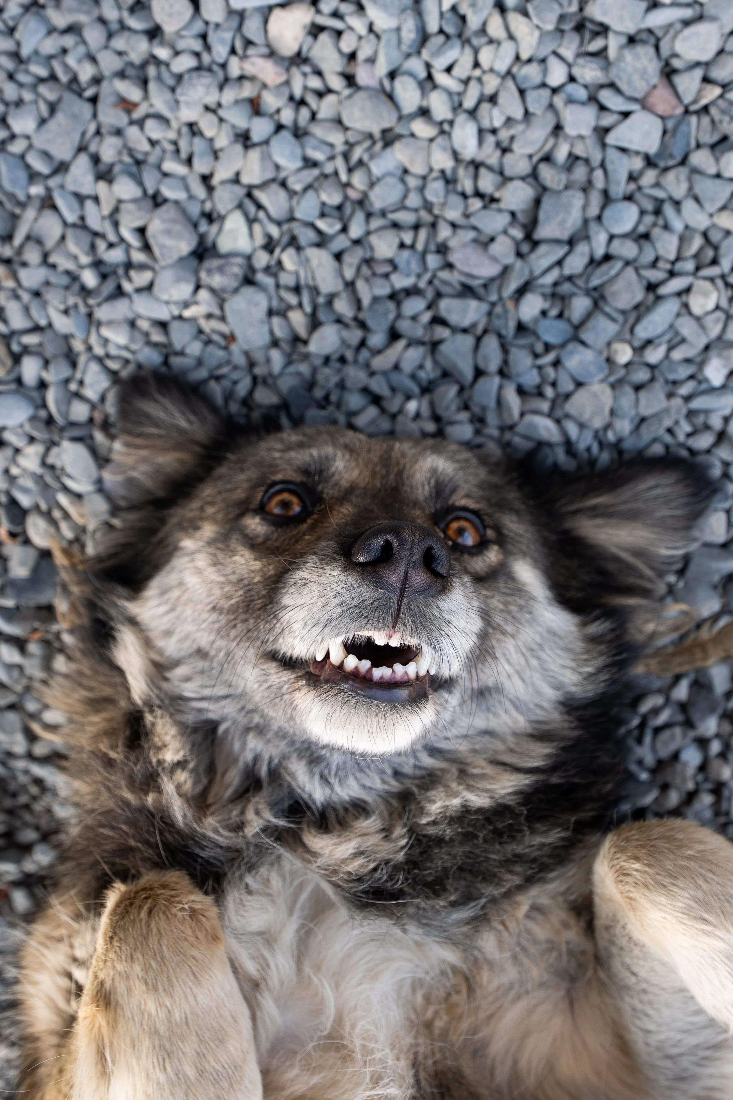  Georgia Website Photos-01.jpg