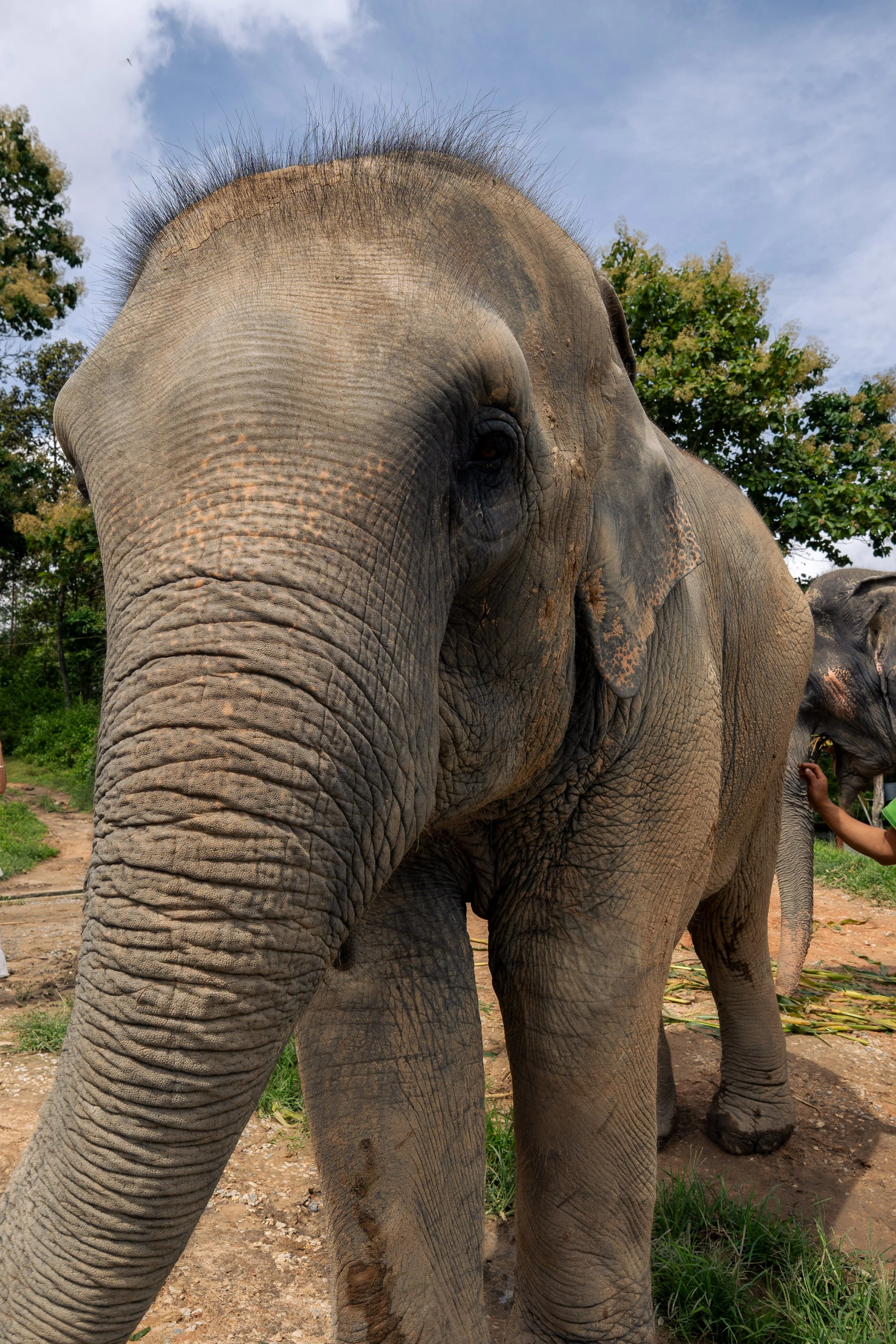 Thailand Website photos-16.jpg