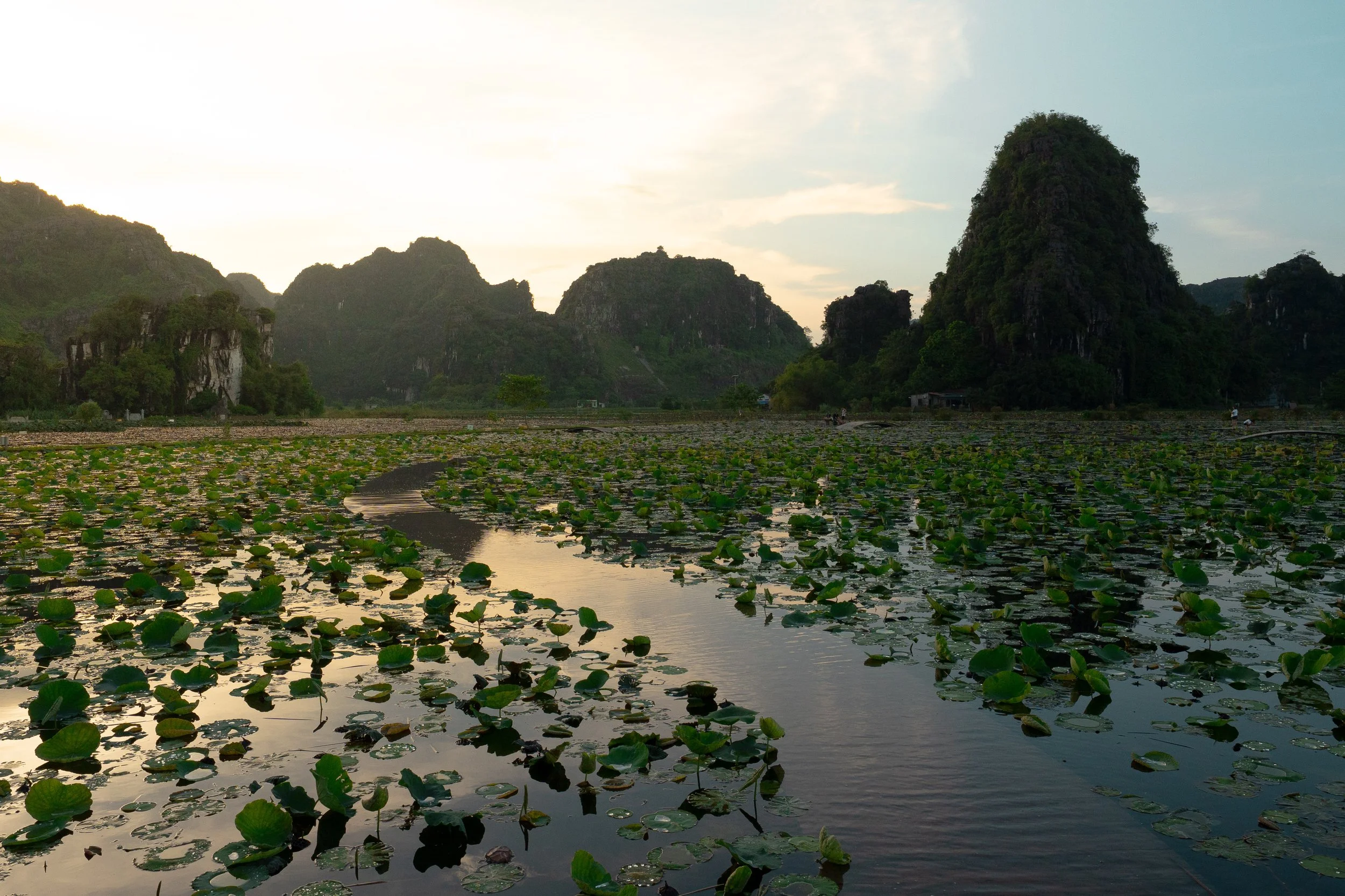 Vietnam Website photos-66.jpg