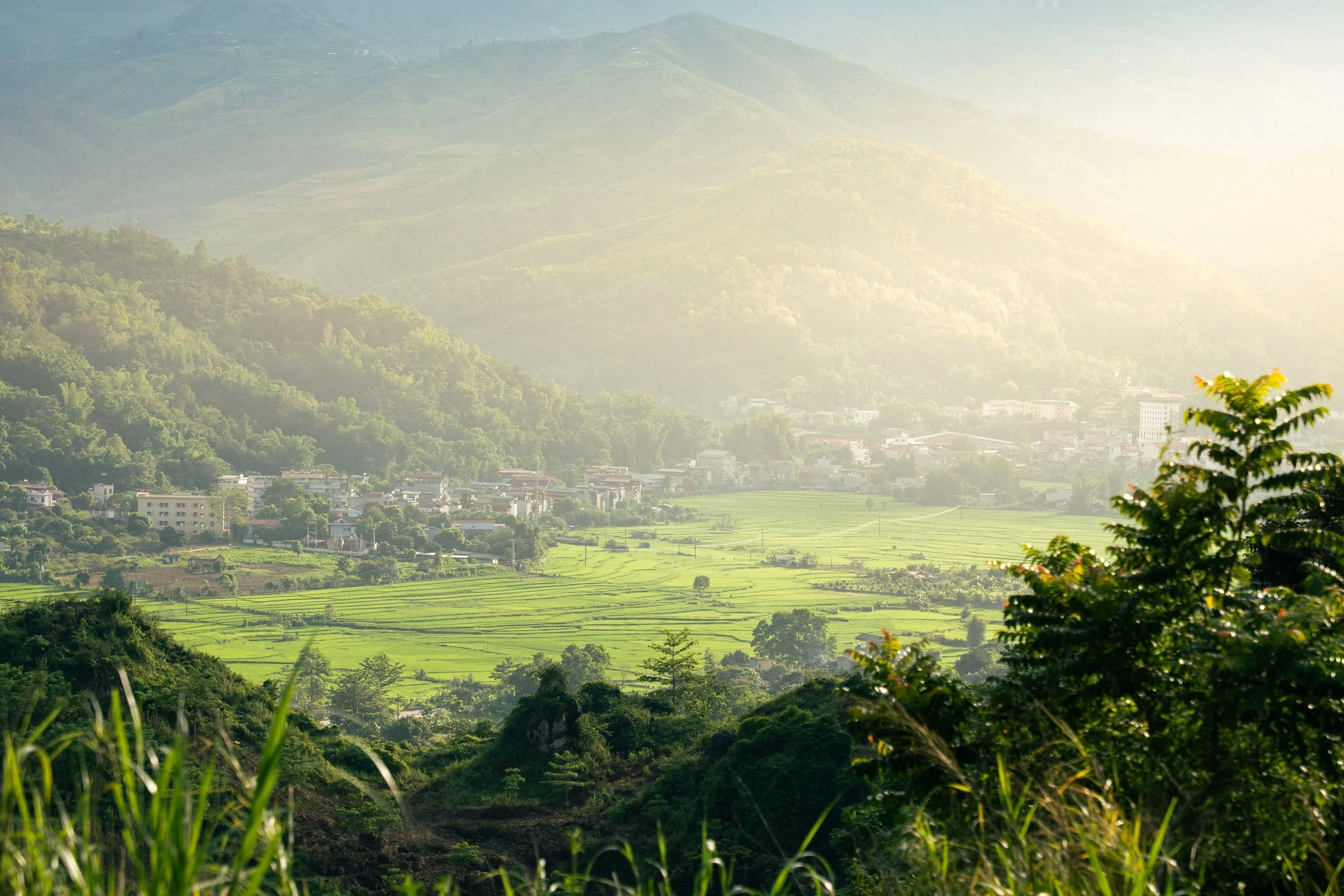 Vietnam Website photos-49.jpg