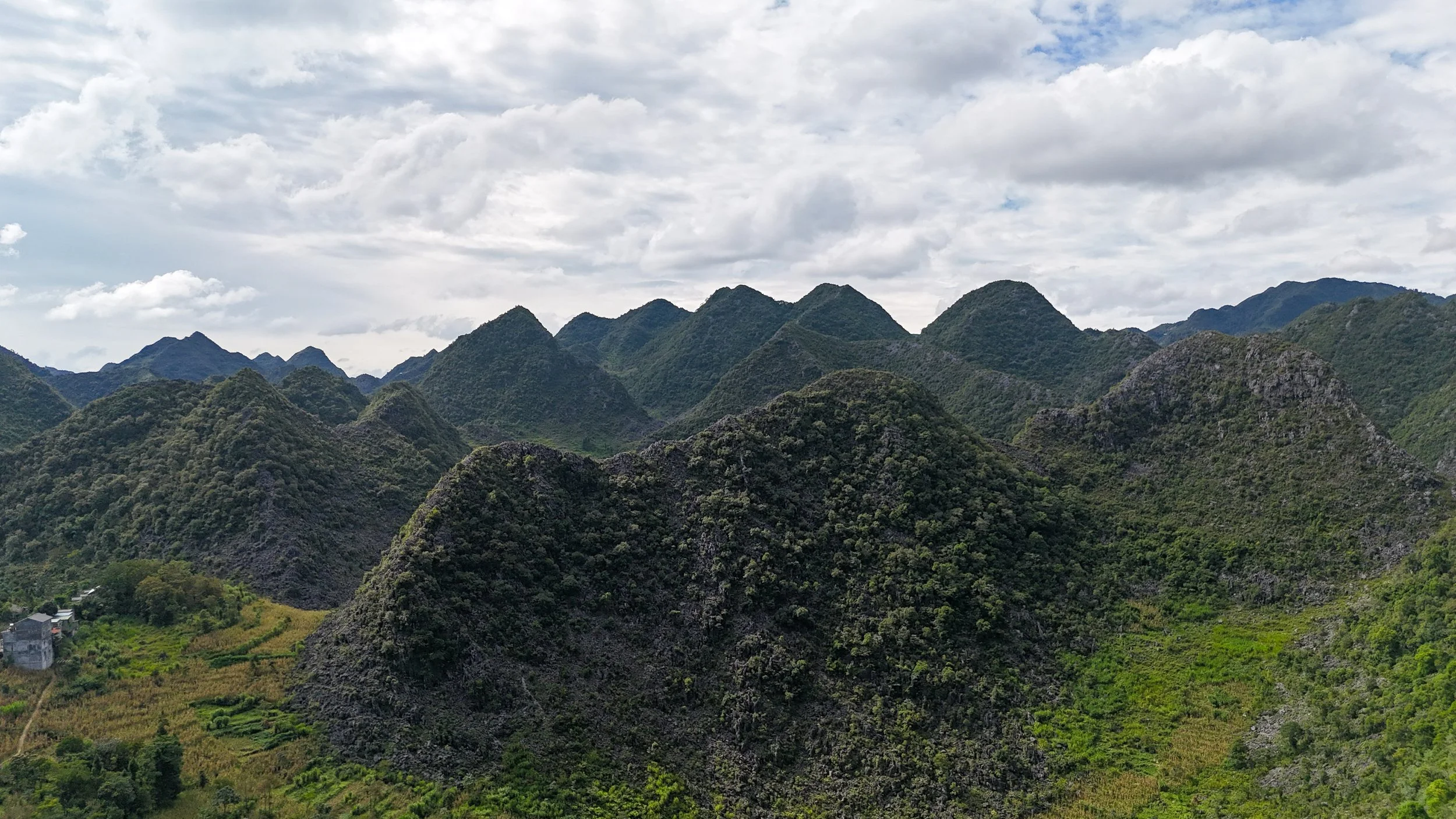 Vietnam Website photos-41.jpg