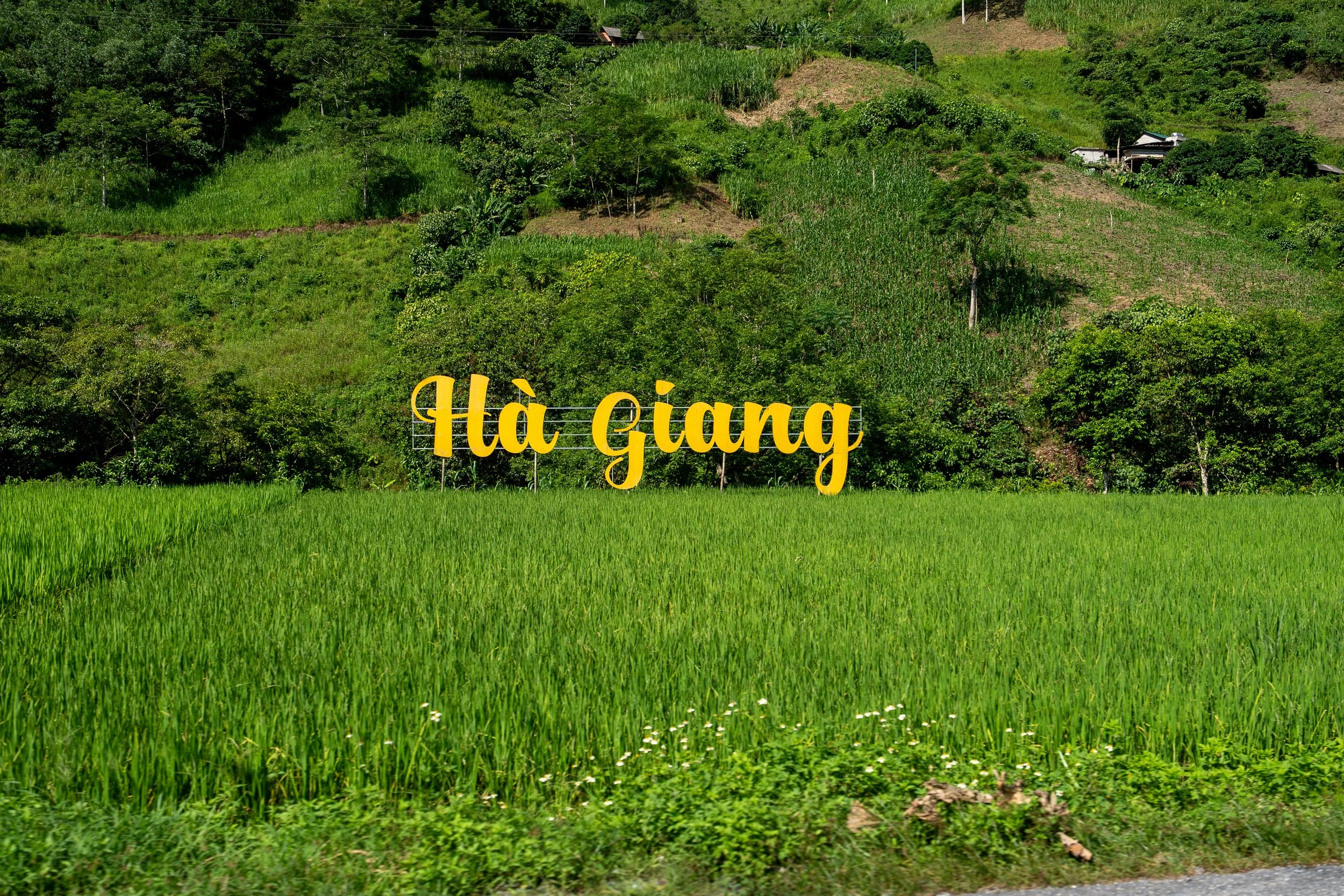 Vietnam Website photos-52.jpg