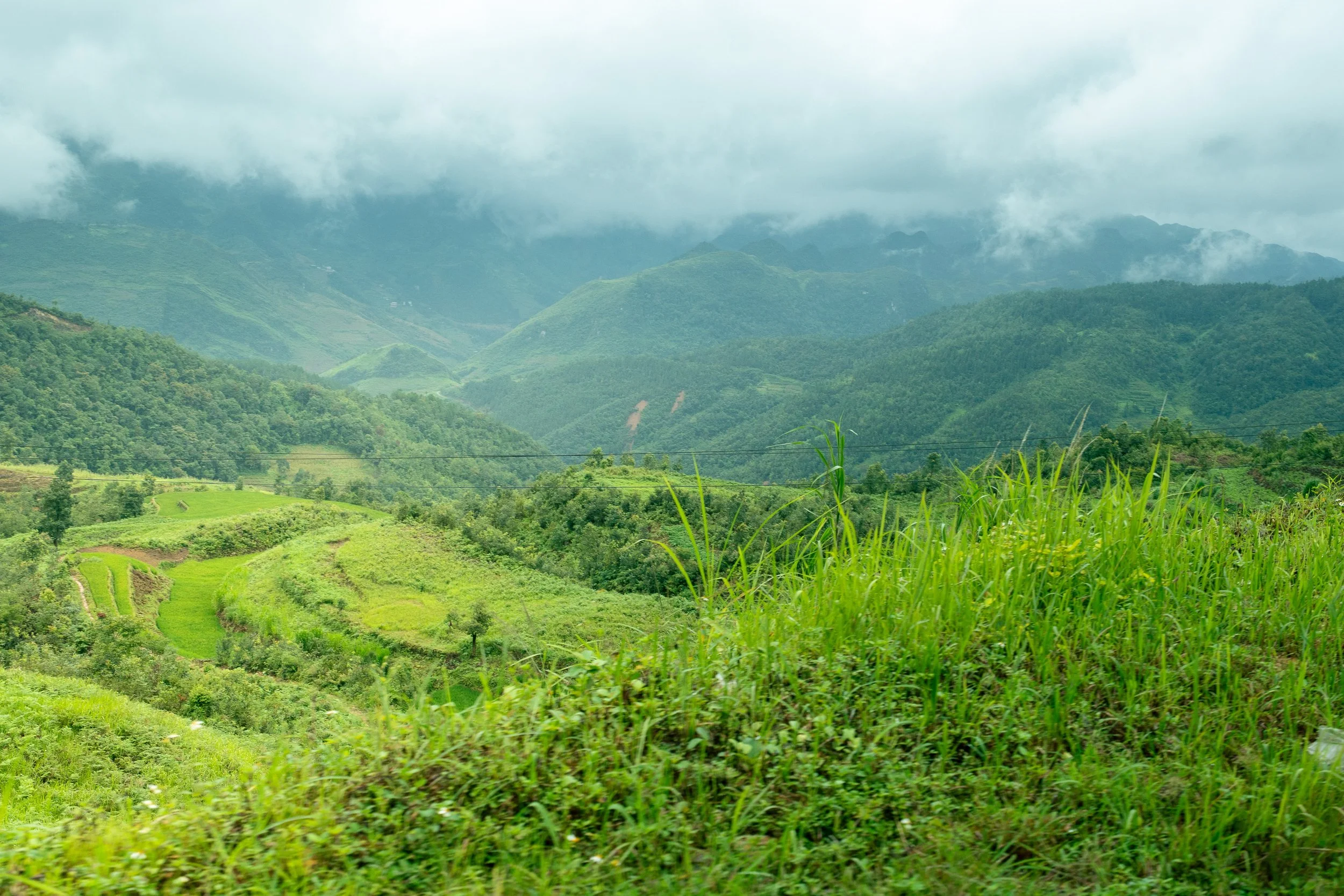 Vietnam Website photos-31.jpg