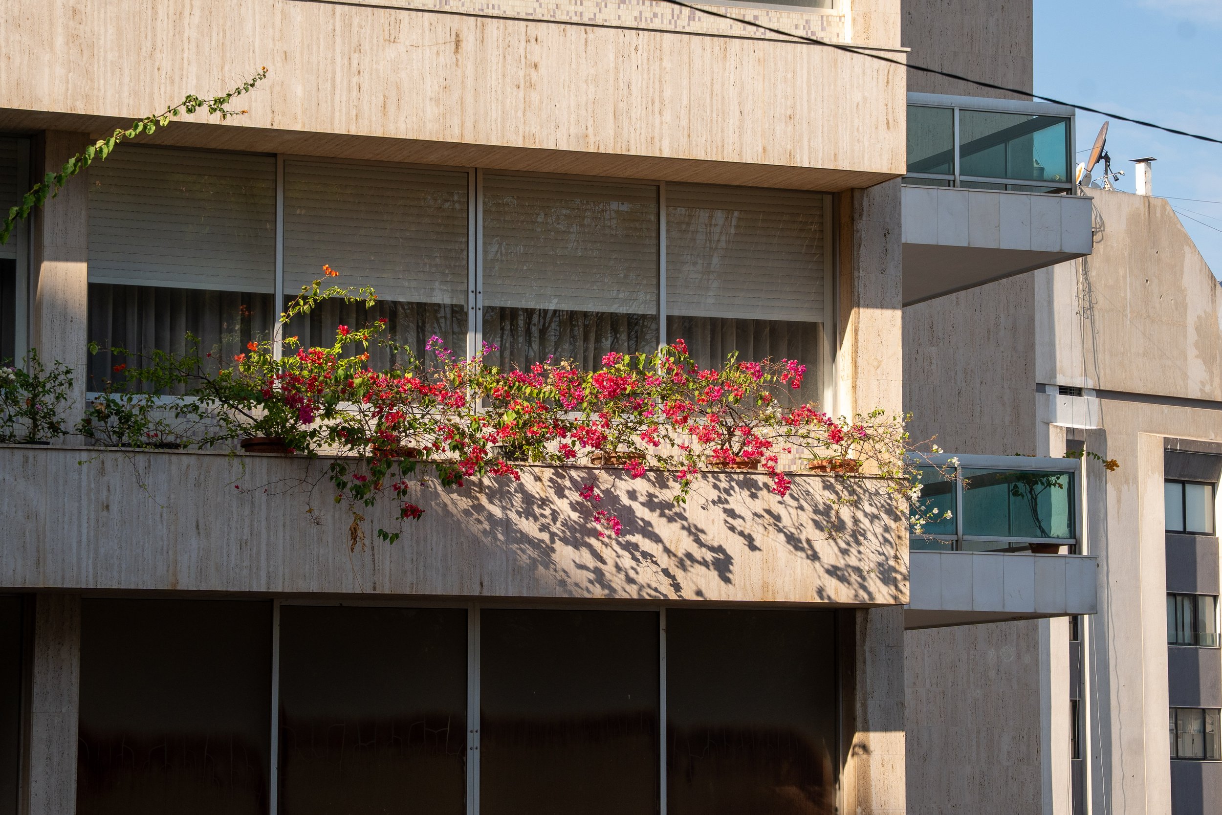  Lebanon Website Photos-01.jpg