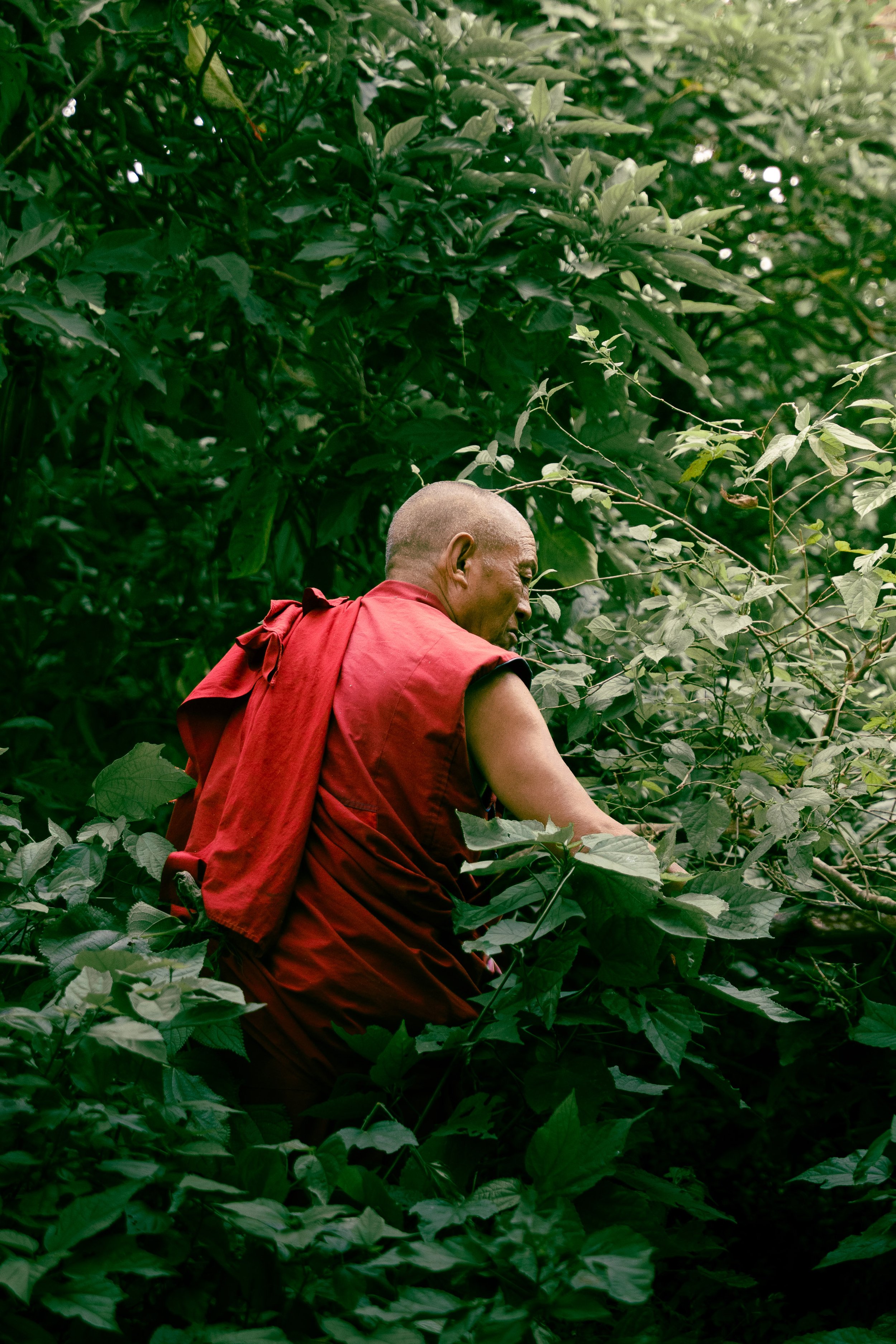 Nepal Website photos-34.jpg