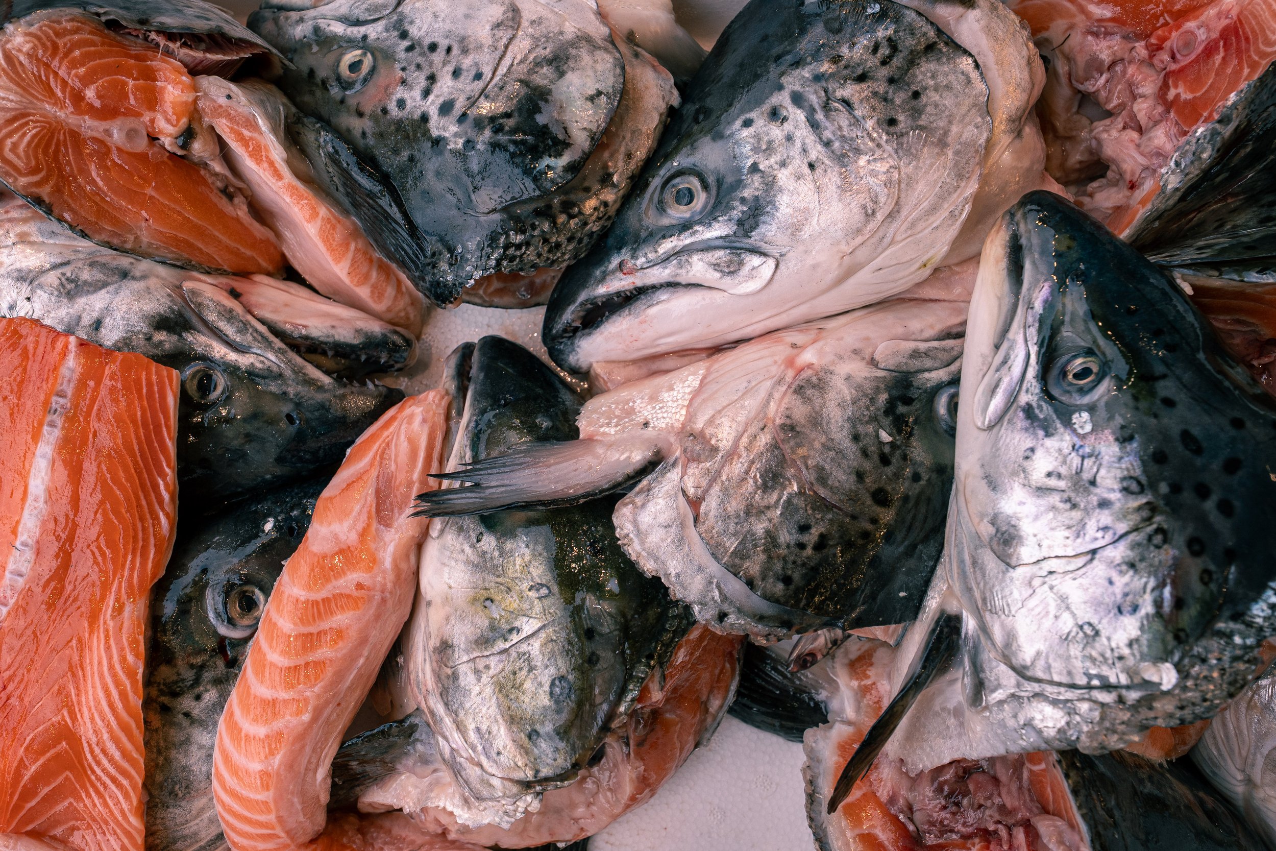  Turkey Website Photos-08.jpg