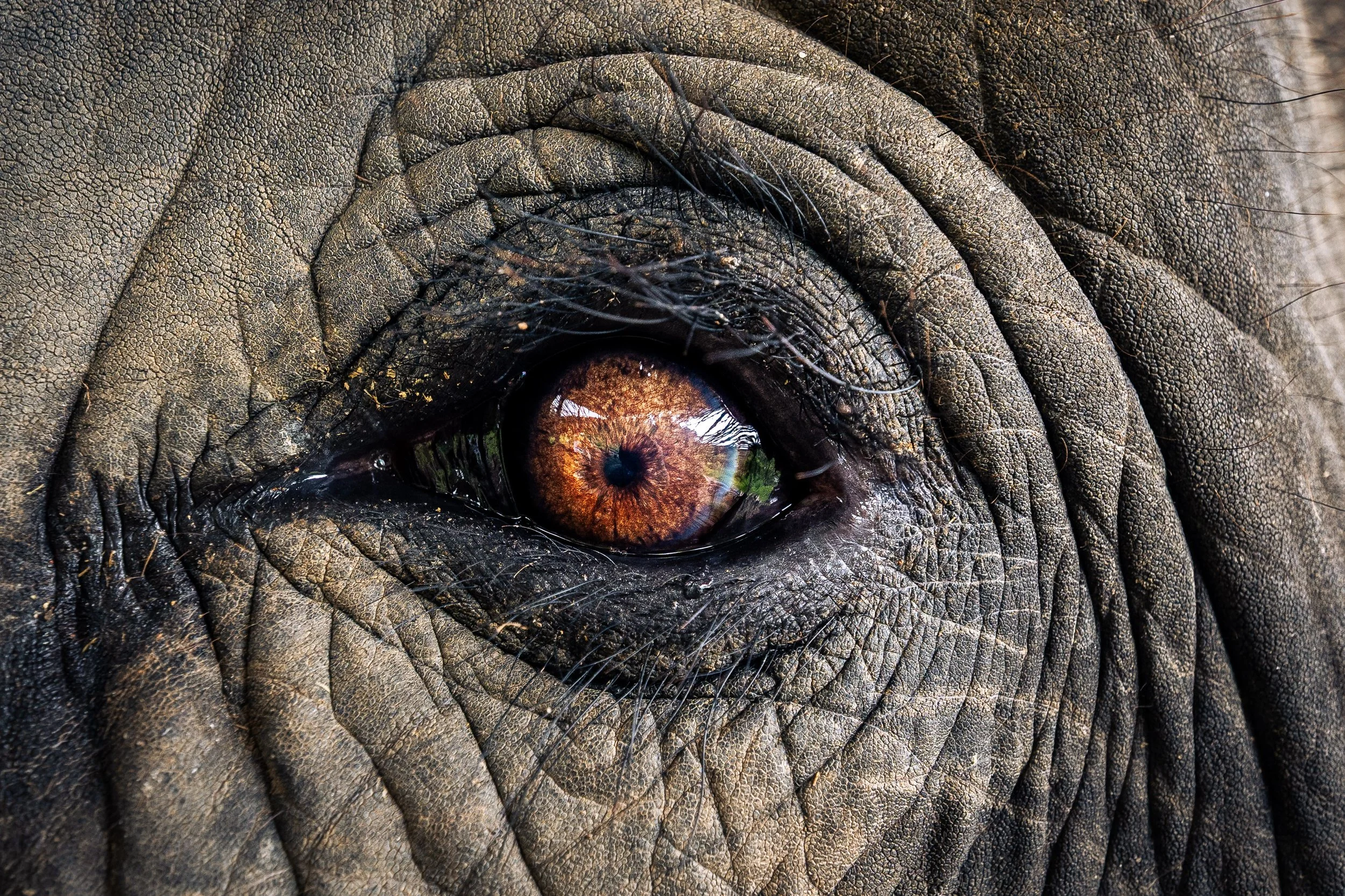 Thailand Website photos-22.jpg