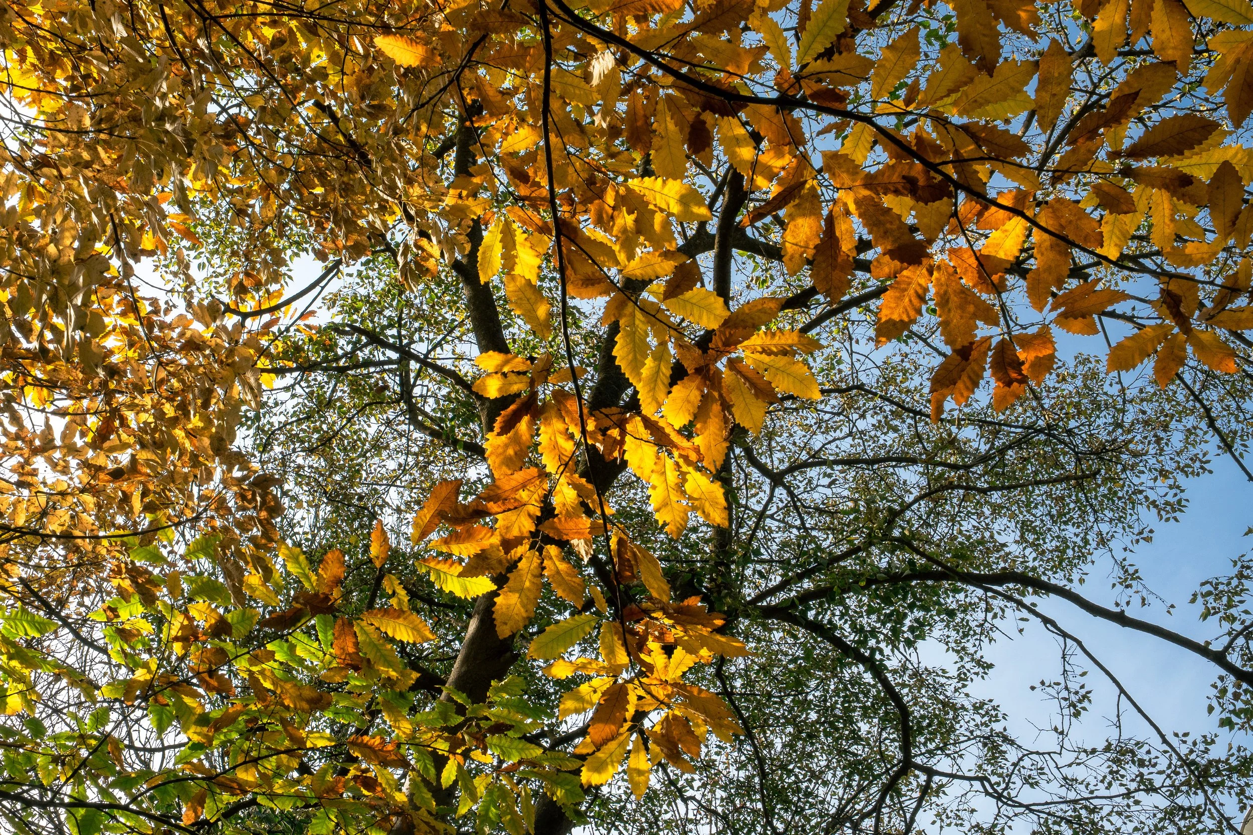  Georgia Website Photos-24.jpg