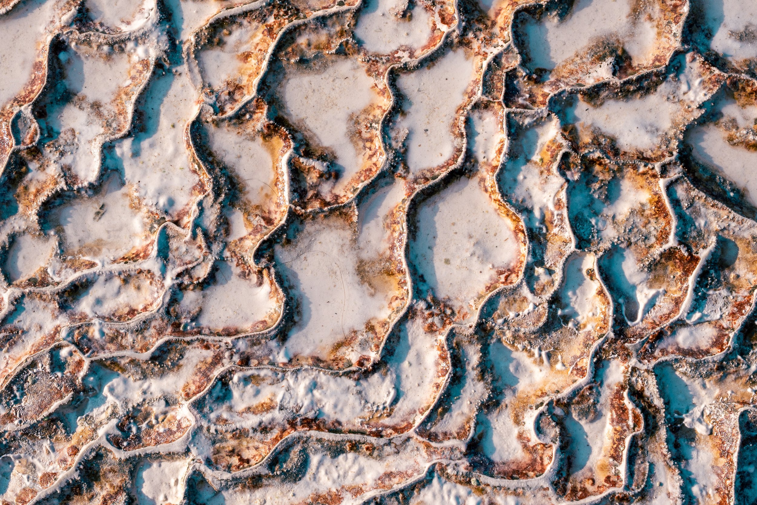  Turkey Website Photos-64.jpg