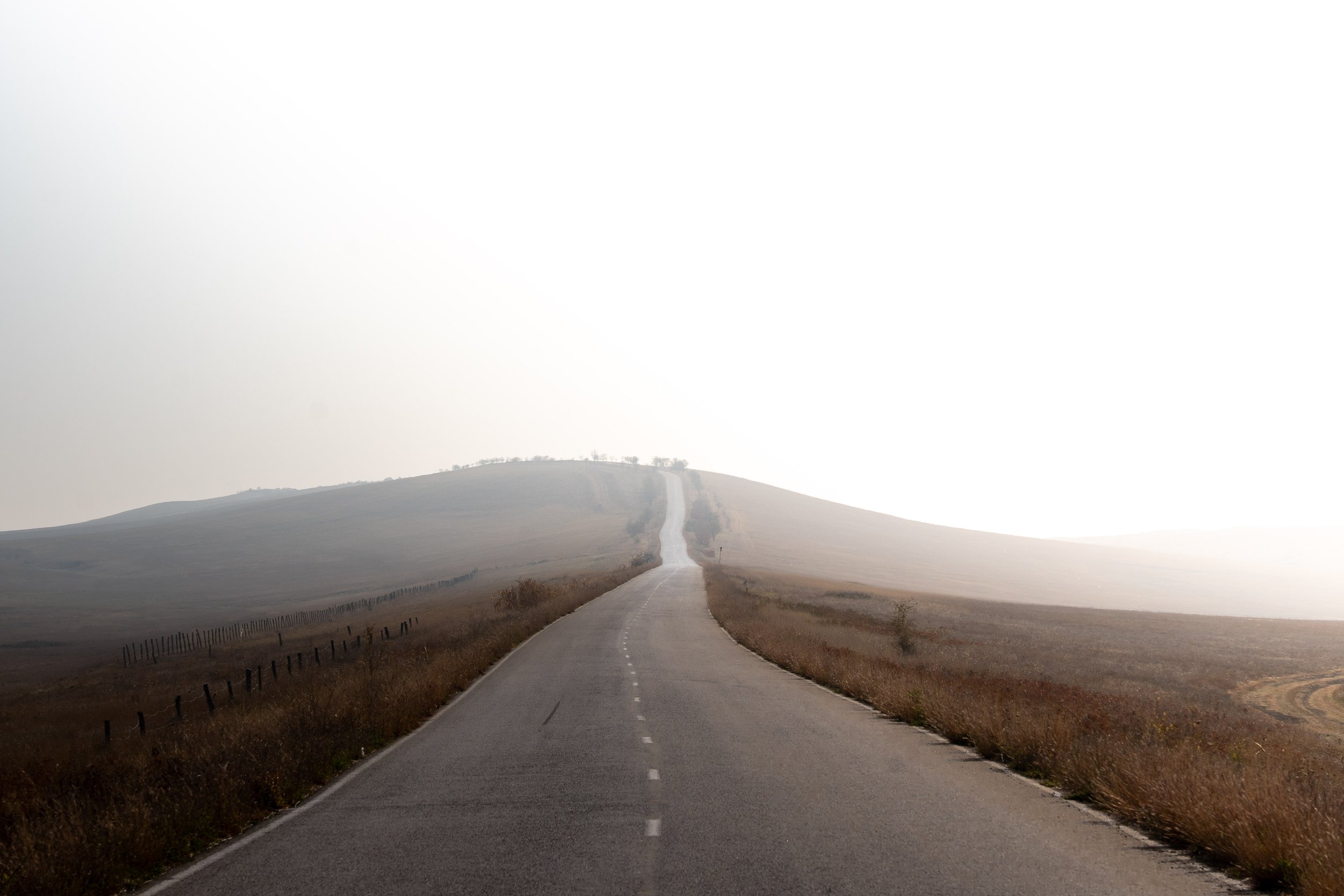  Georgia Website Photos-35.jpg