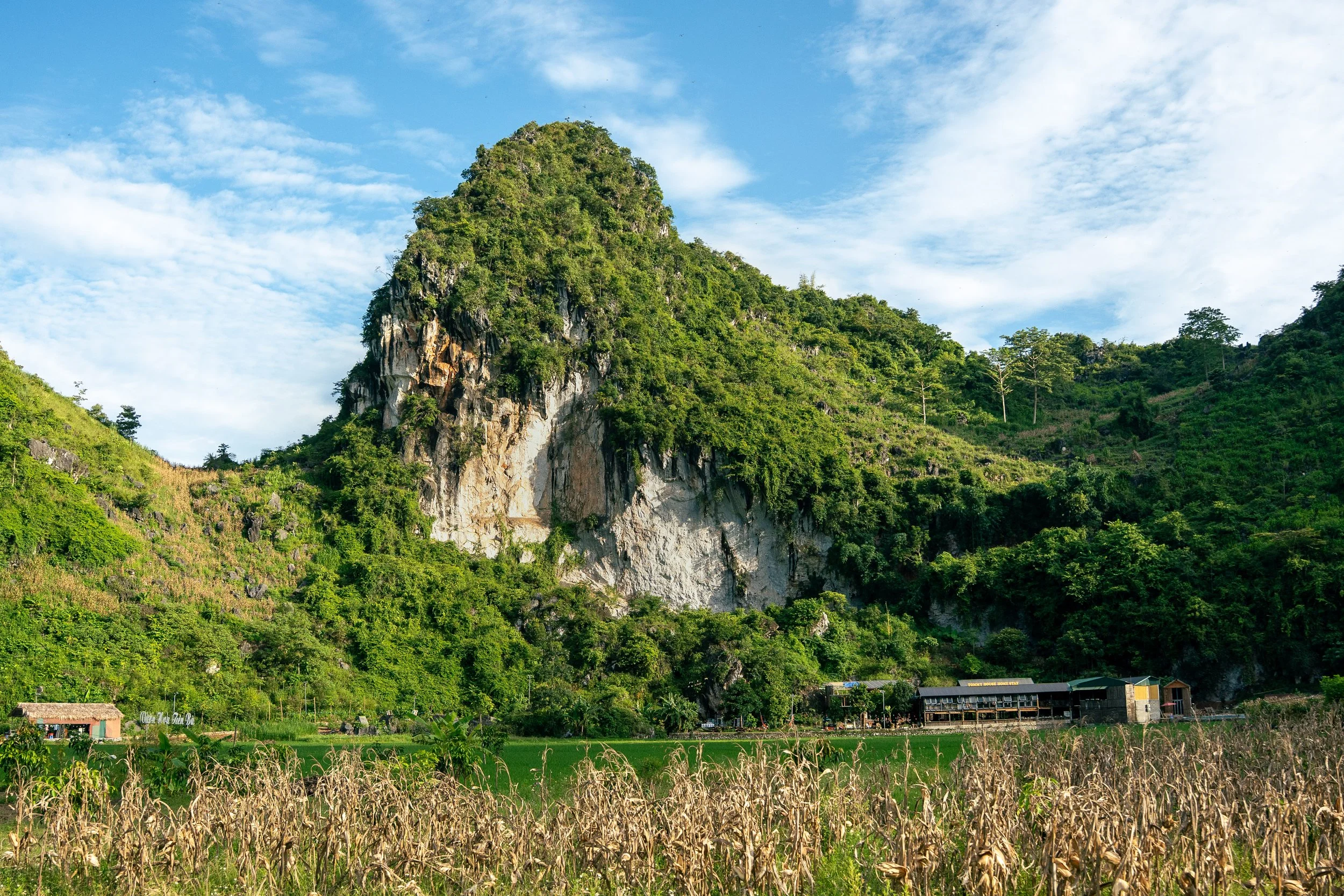 Vietnam Website photos-48.jpg