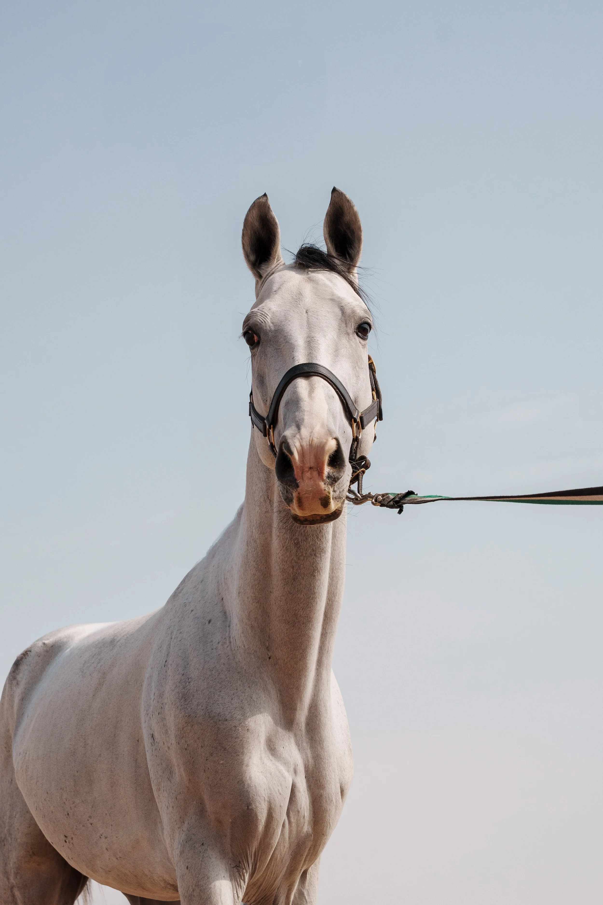 Turkmenistan Website photos-48.jpg