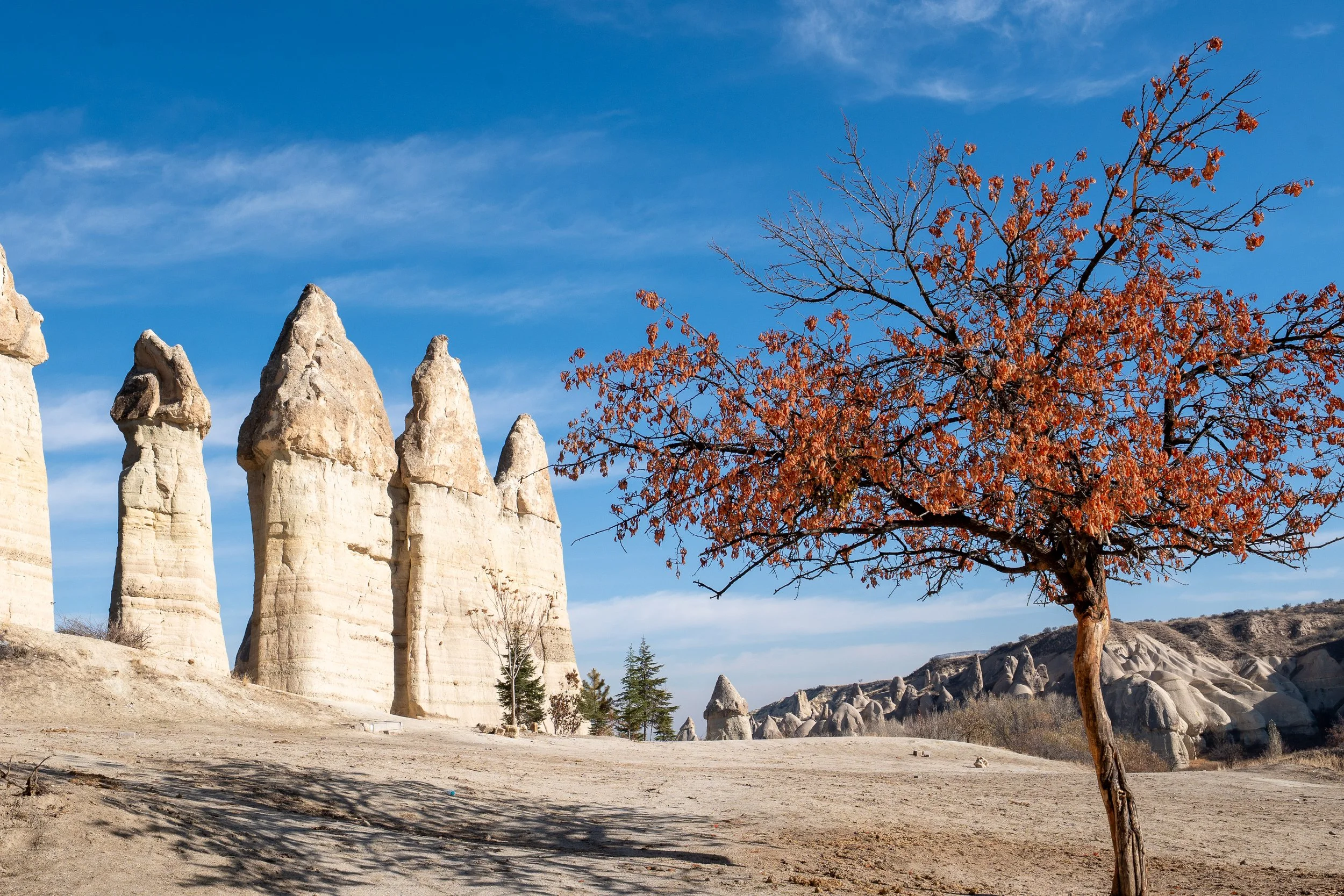  Turkey Website Photos-30.jpg