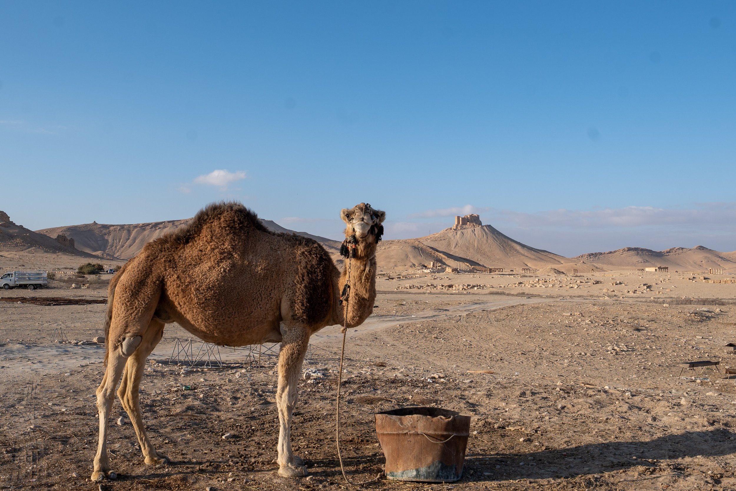 Syria Website Photos-64.jpg