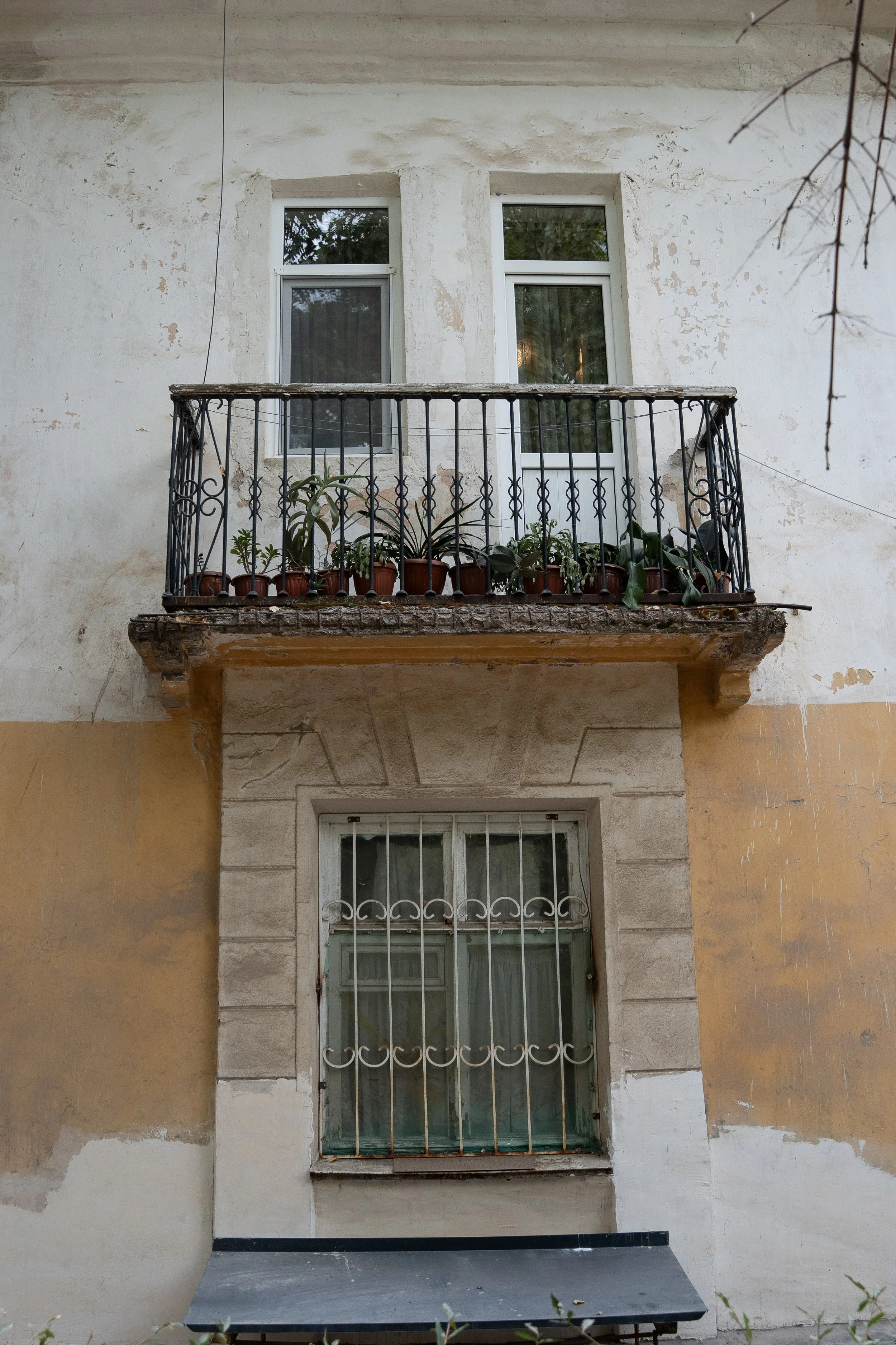 Tajikistan Website photos-09.jpg