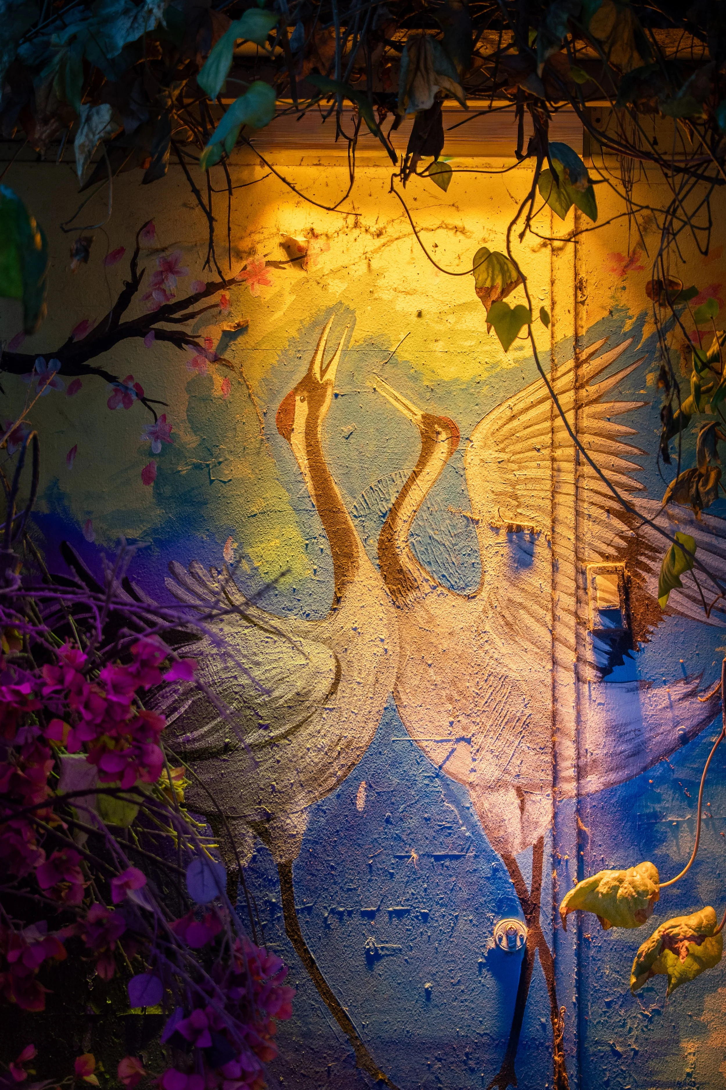  Turkey Website Photos-13.jpg