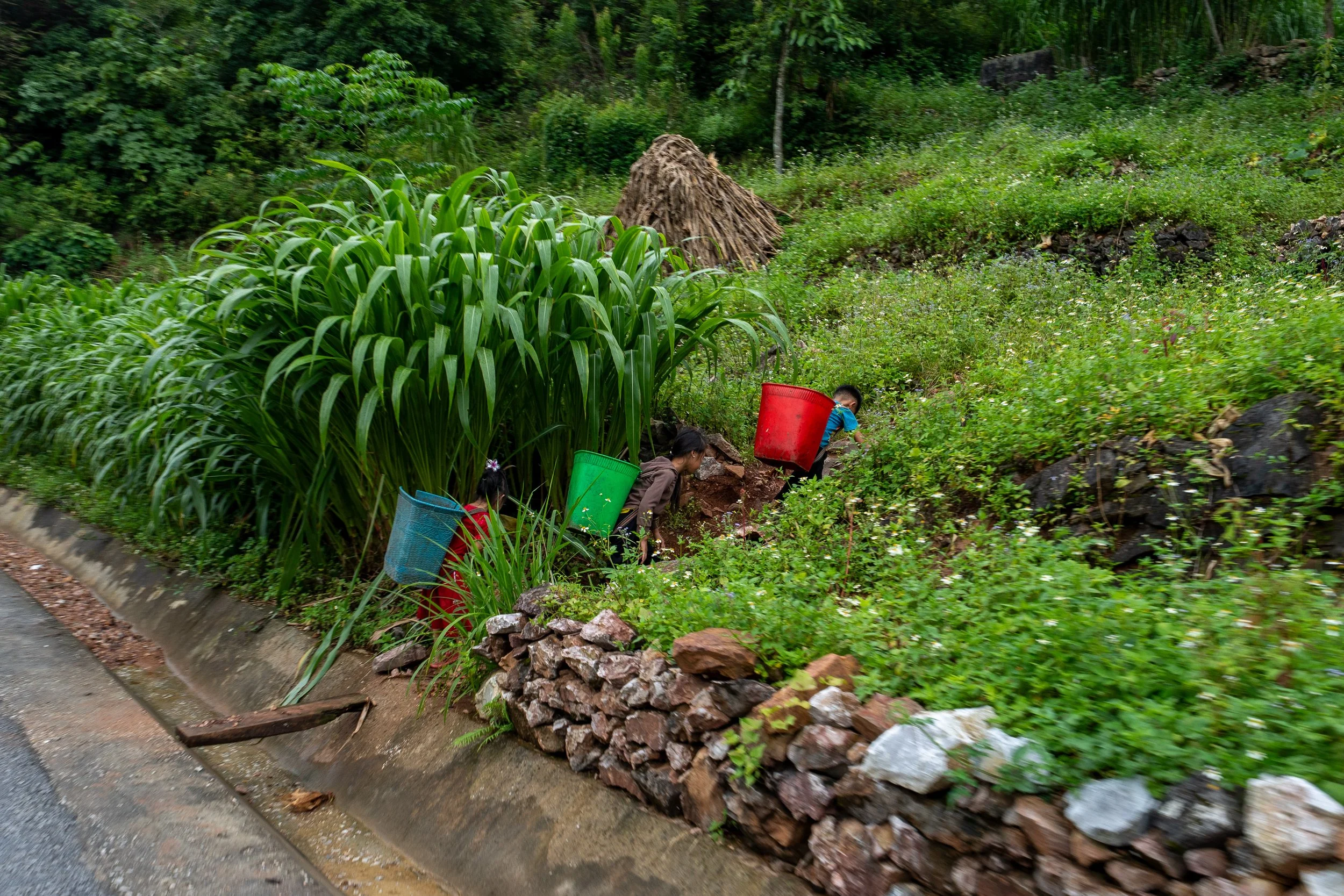 Vietnam Website photos-21.jpg