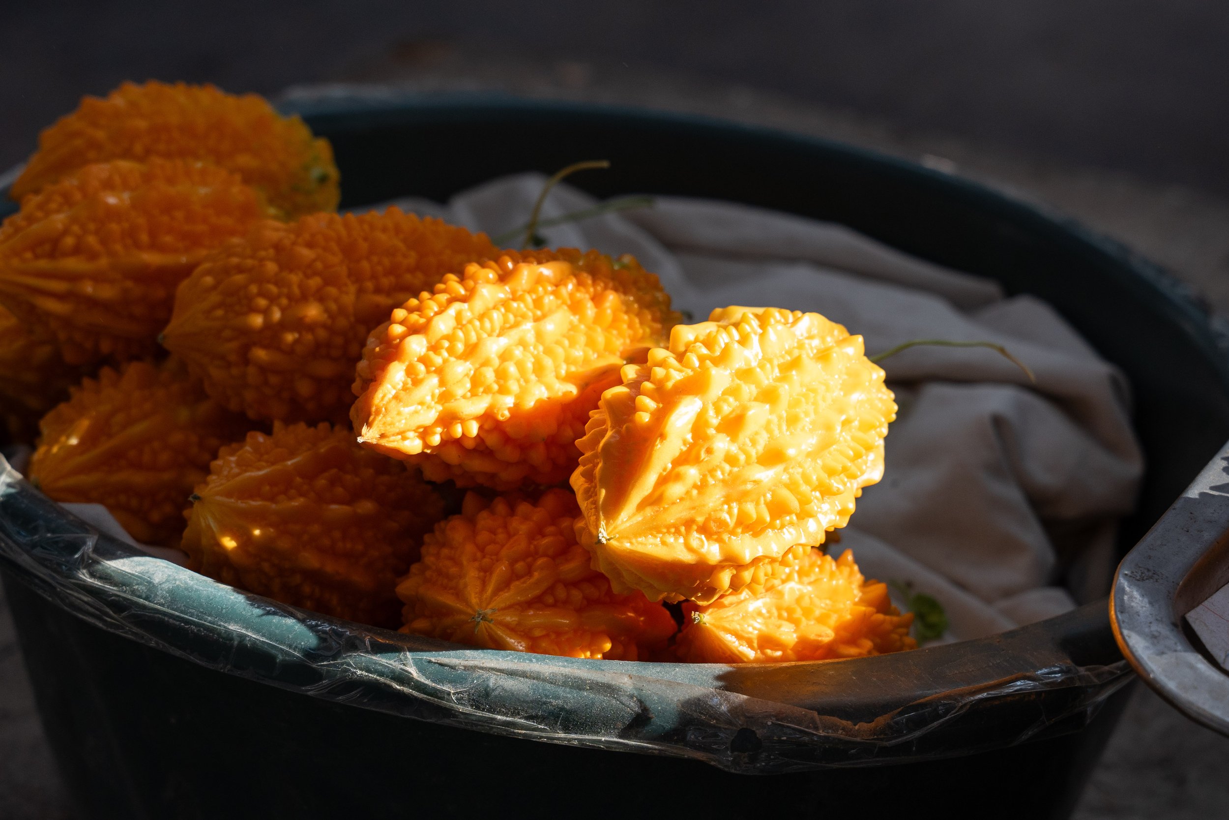 Tajikistan Website photos-13.jpg