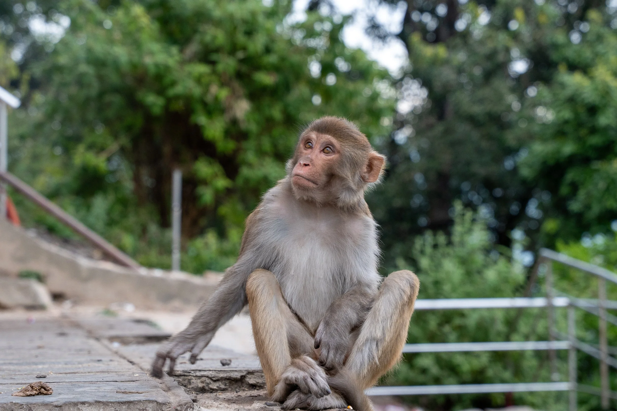 Nepal Website photos-44.jpg