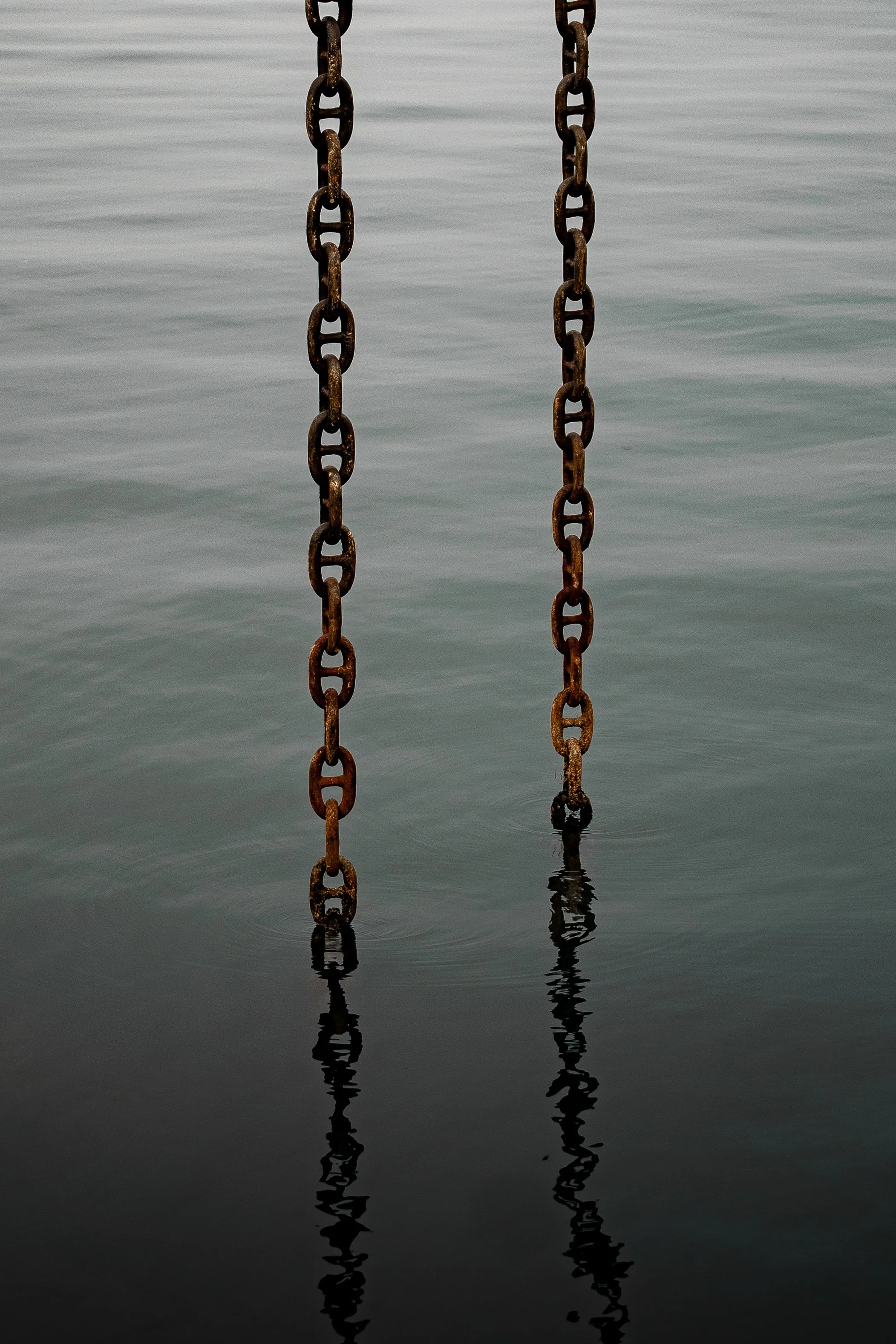  Georgia Website Photos-46.jpg