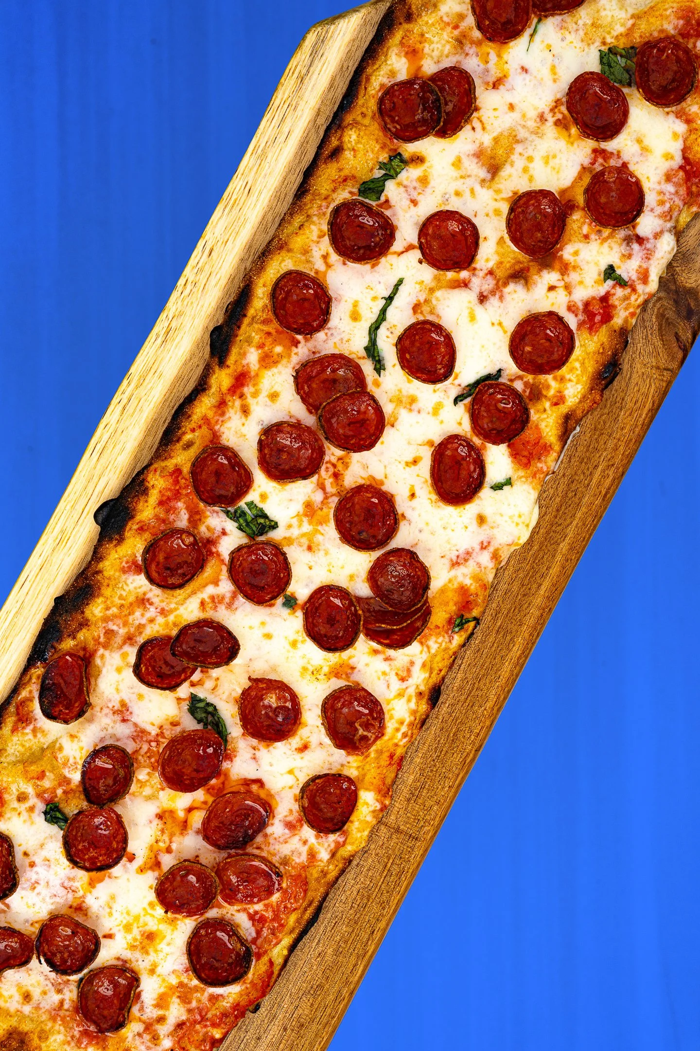 Photoshoped 6_17-3.JPG