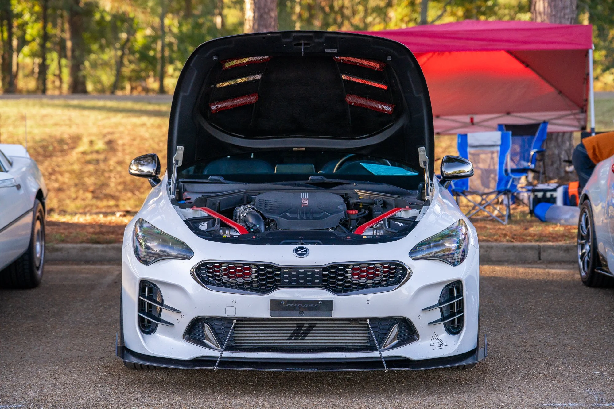 Saffle.media-368.jpg