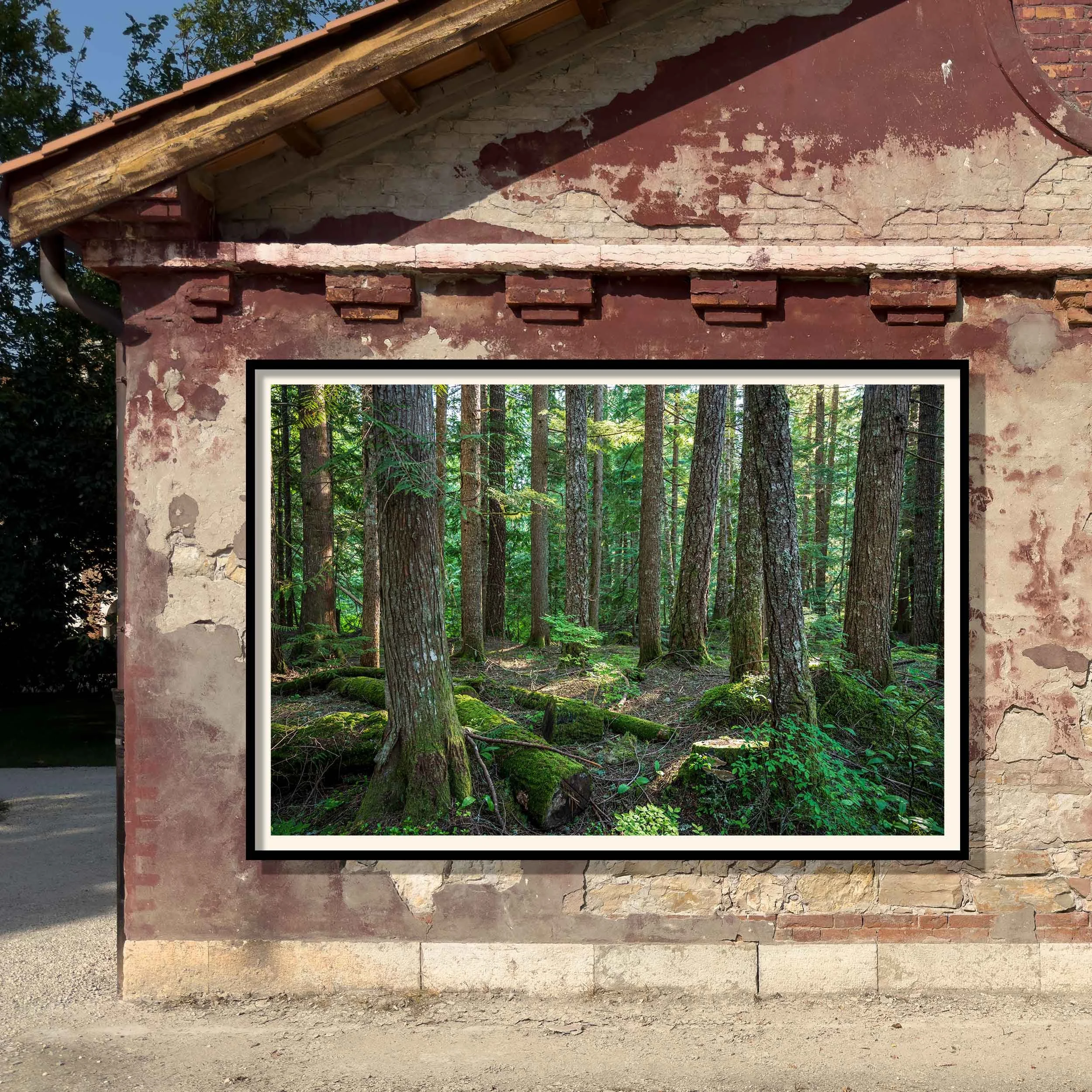 stone-wall-with-Whistler-forest_0205-SQ-WS.jpg