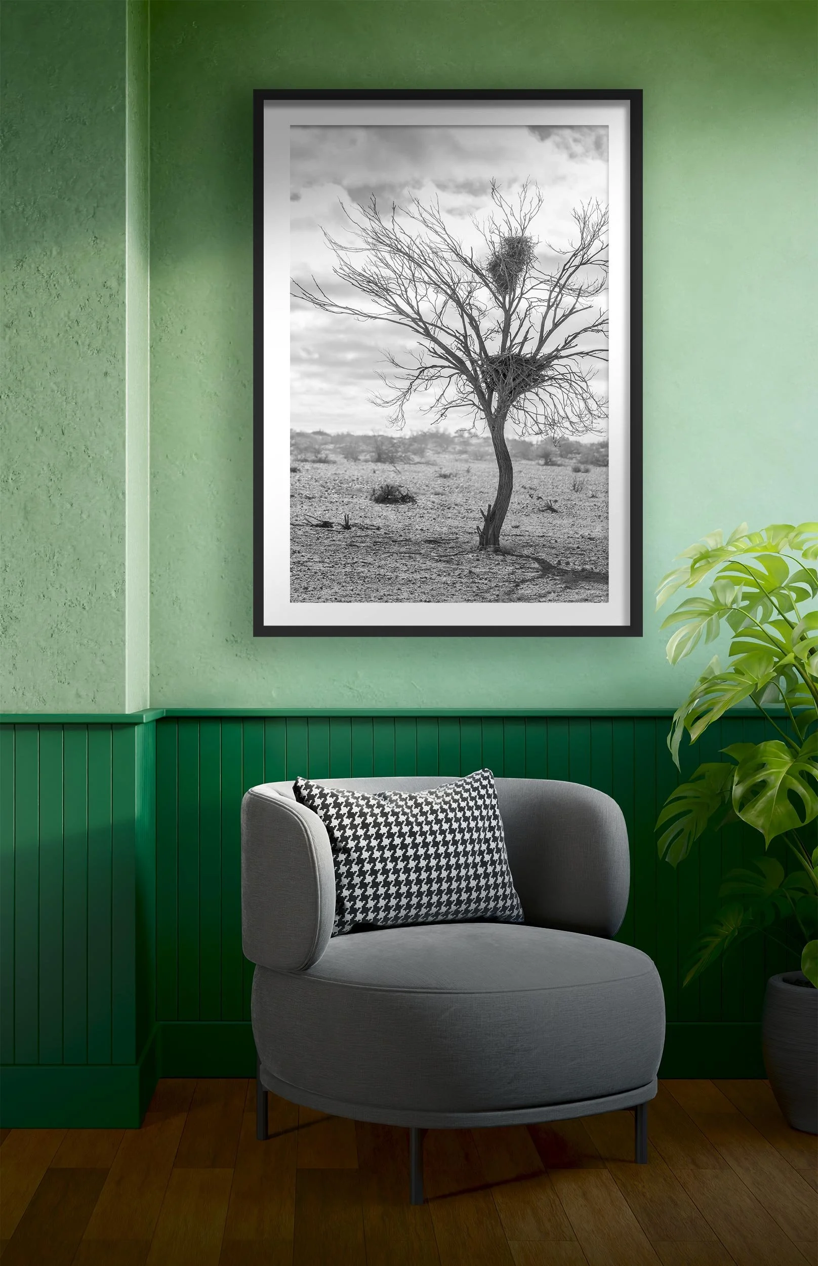 Tree-with-nests_2718120499.jpg