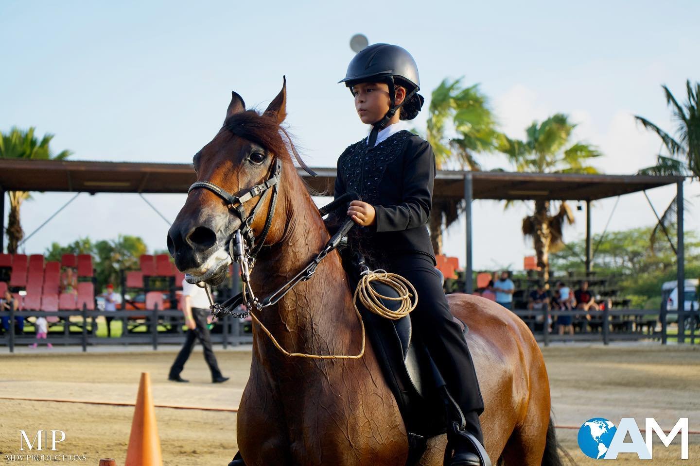 Stay focused and keep your eyes on the prize, 
.
.

Horse photoshoot 
One location of choice for 150$&rdquo;
.
Contact me +297 5948404 ✅
Email: marjolein.devocht@icloud.com✅
.
.

#horsephotography #horse #horsesofinstagram #horses #equestrian #equine