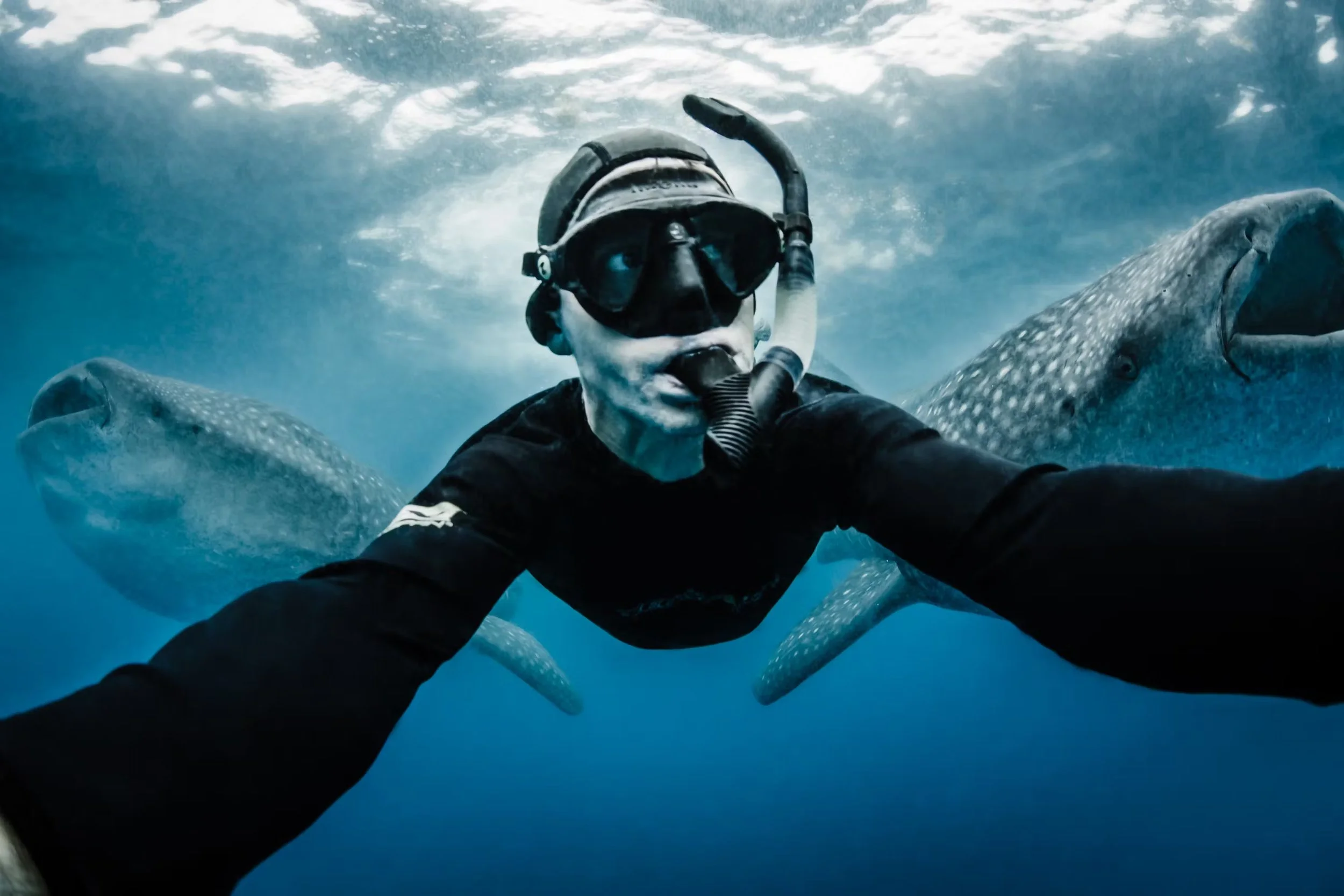 Shawn Heinrichs