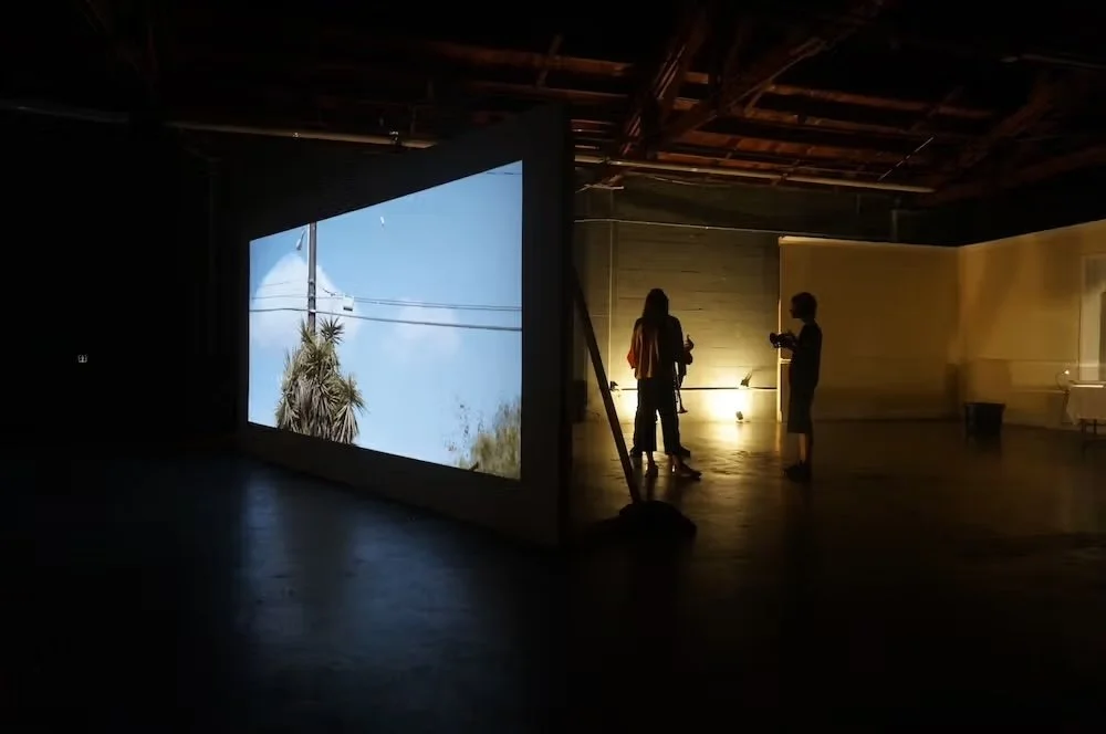 The Sea Alison O'Daniel 3.jpeg