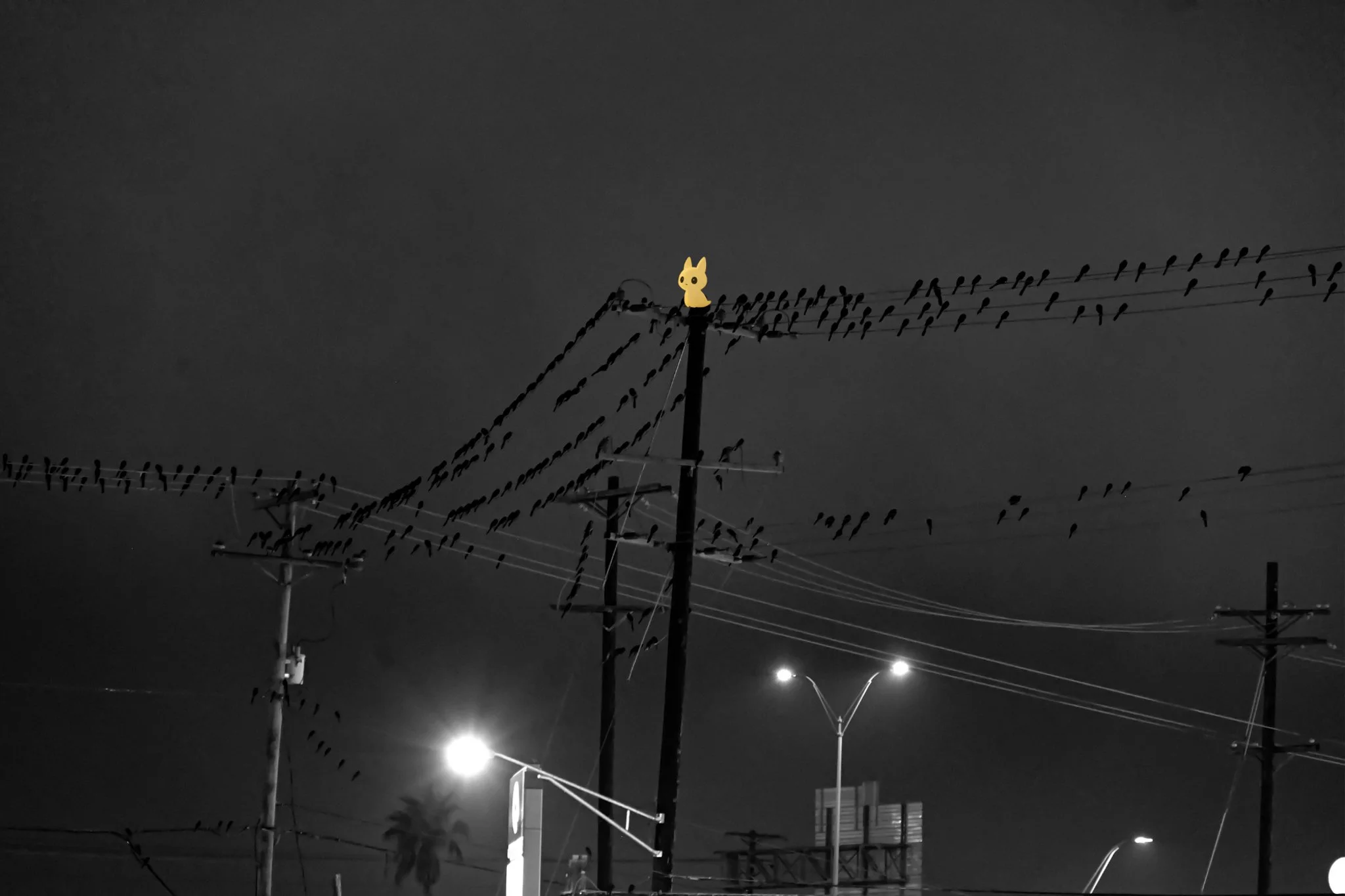 Untitled design-7 copy 3.jpg