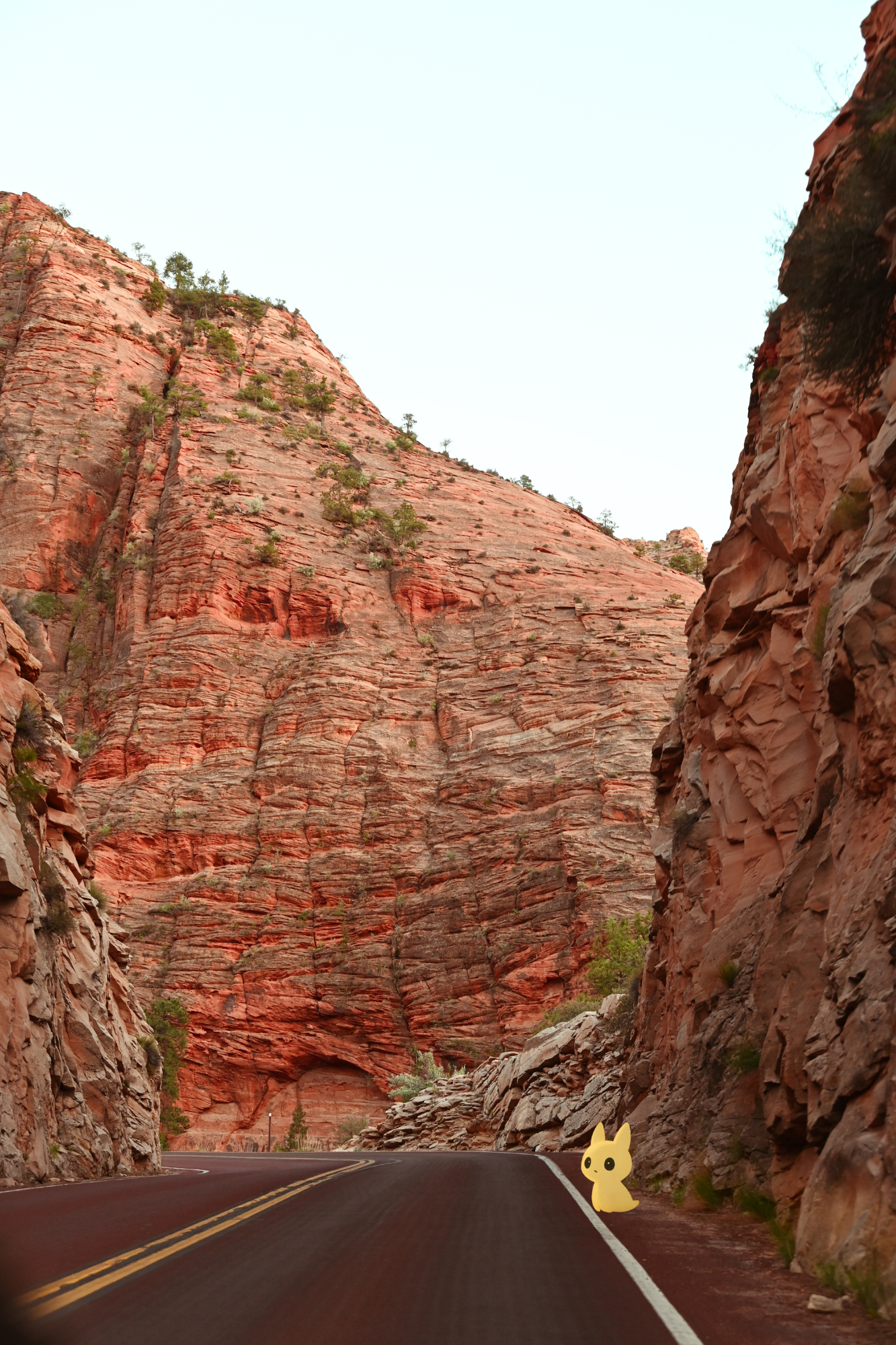 Untitled design-7 copy 2.png