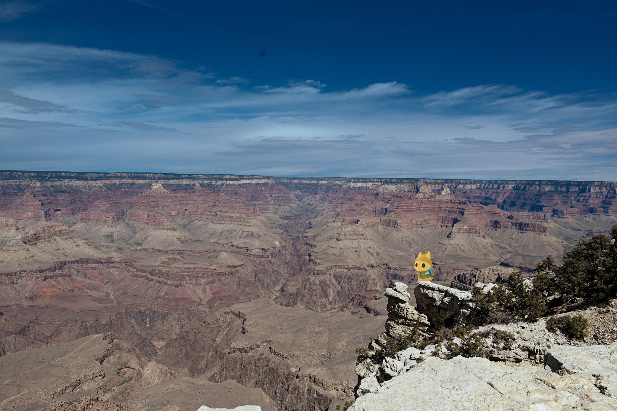 Untitled design-11 copy.jpg