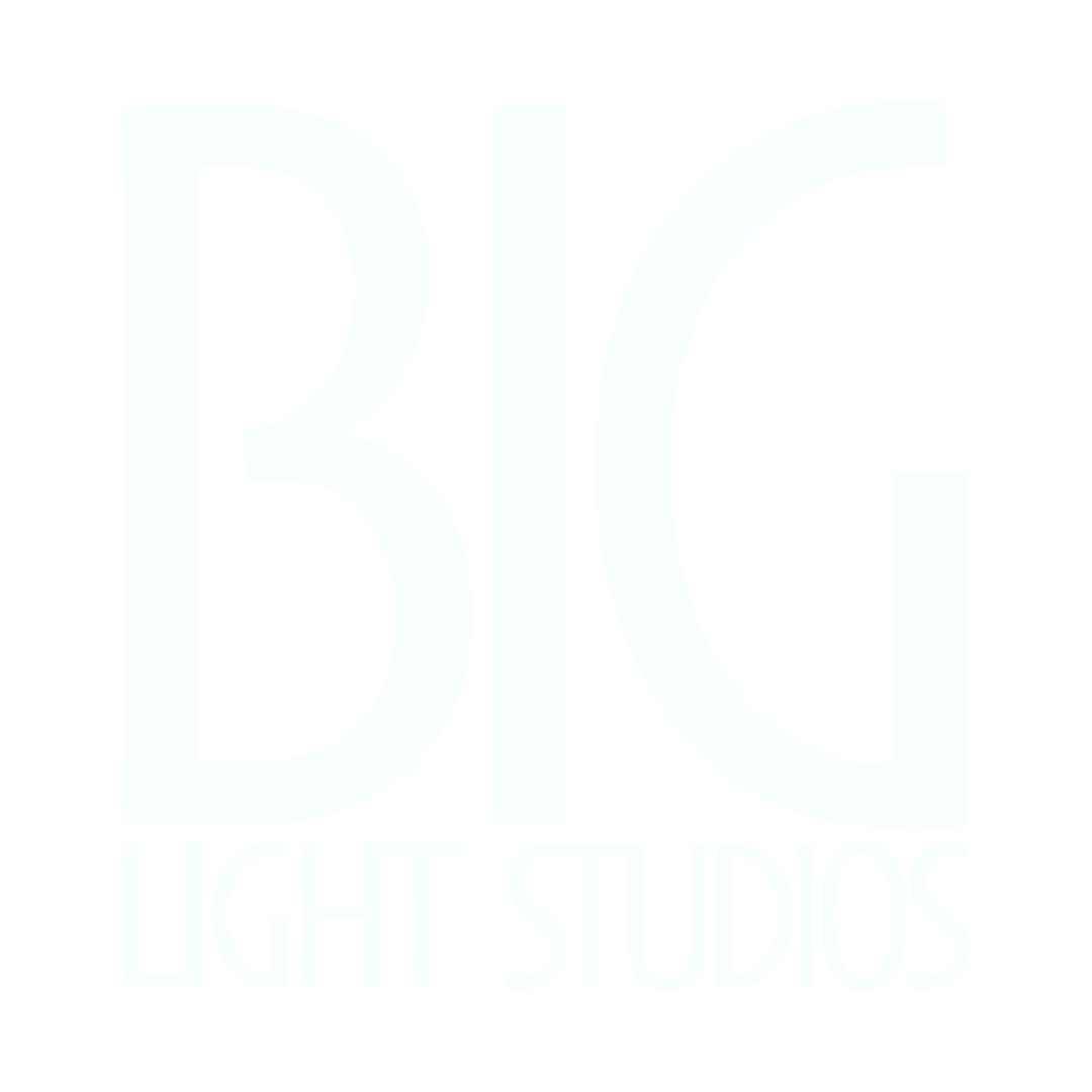 BIG LIGHT STUDIOS