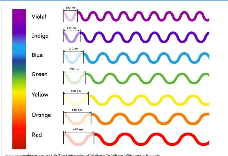 LIGHT WAVES.jpg