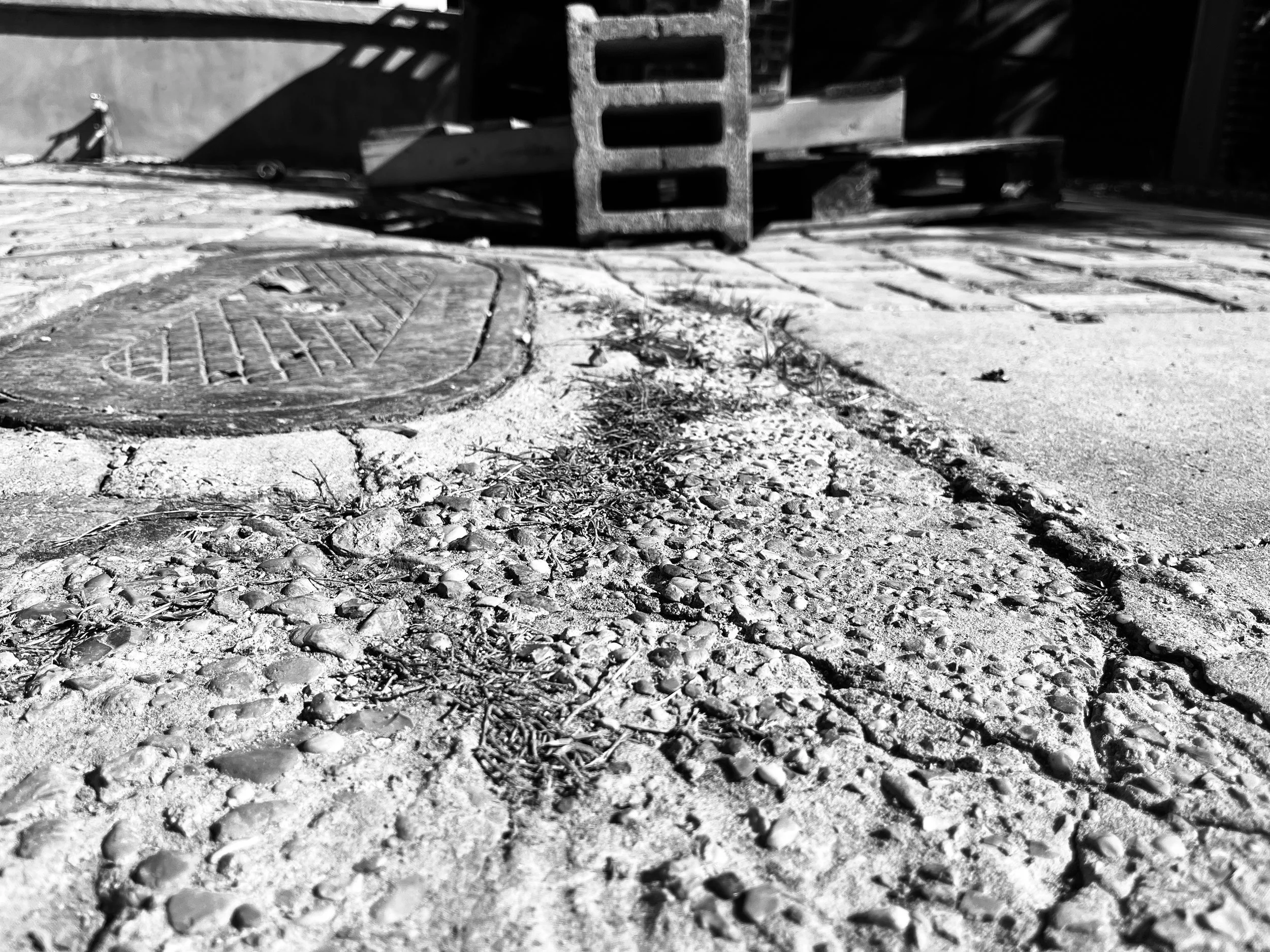 Copy of IMG_6248.jpg